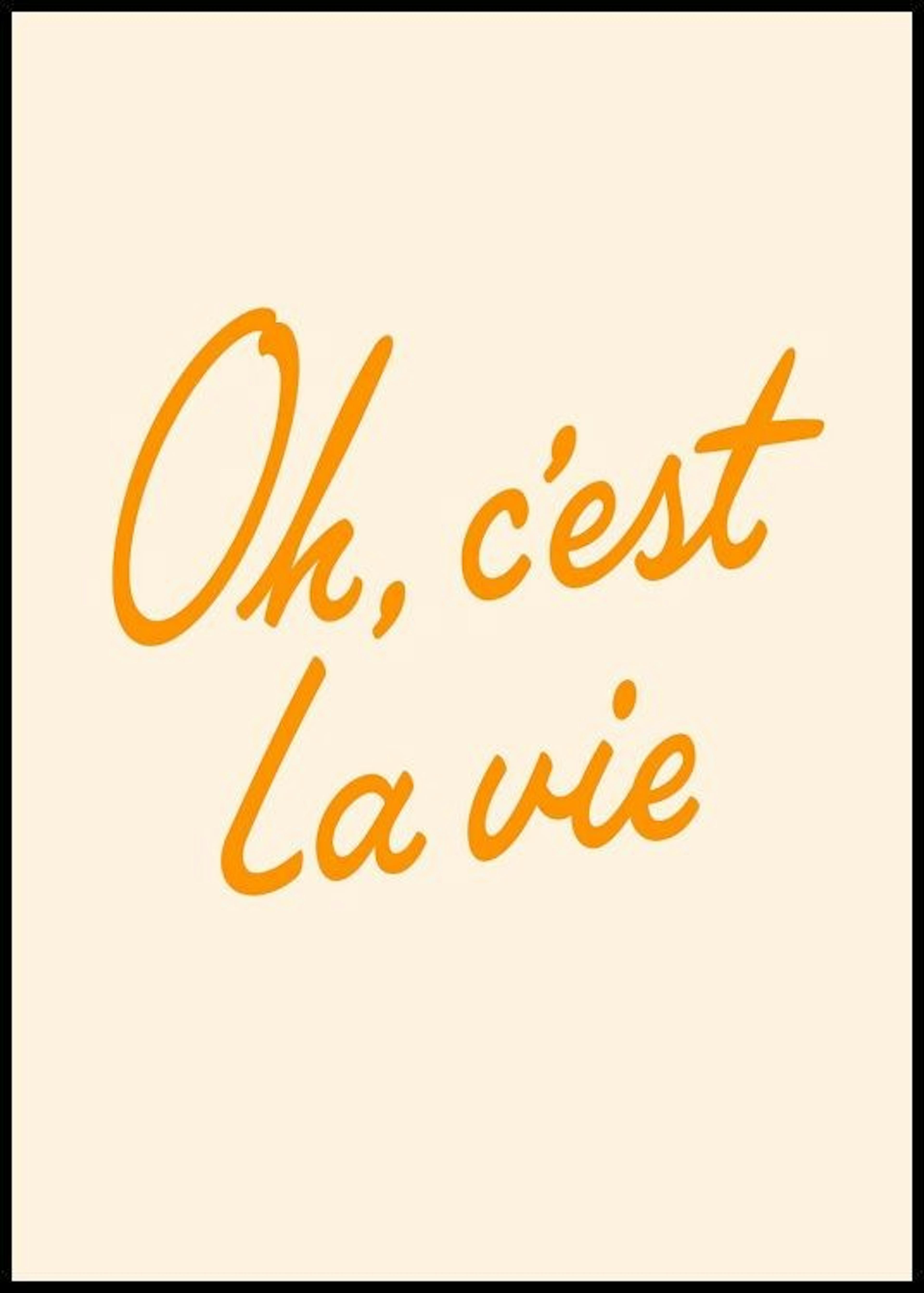 Oh C'est La Vie Poster 0