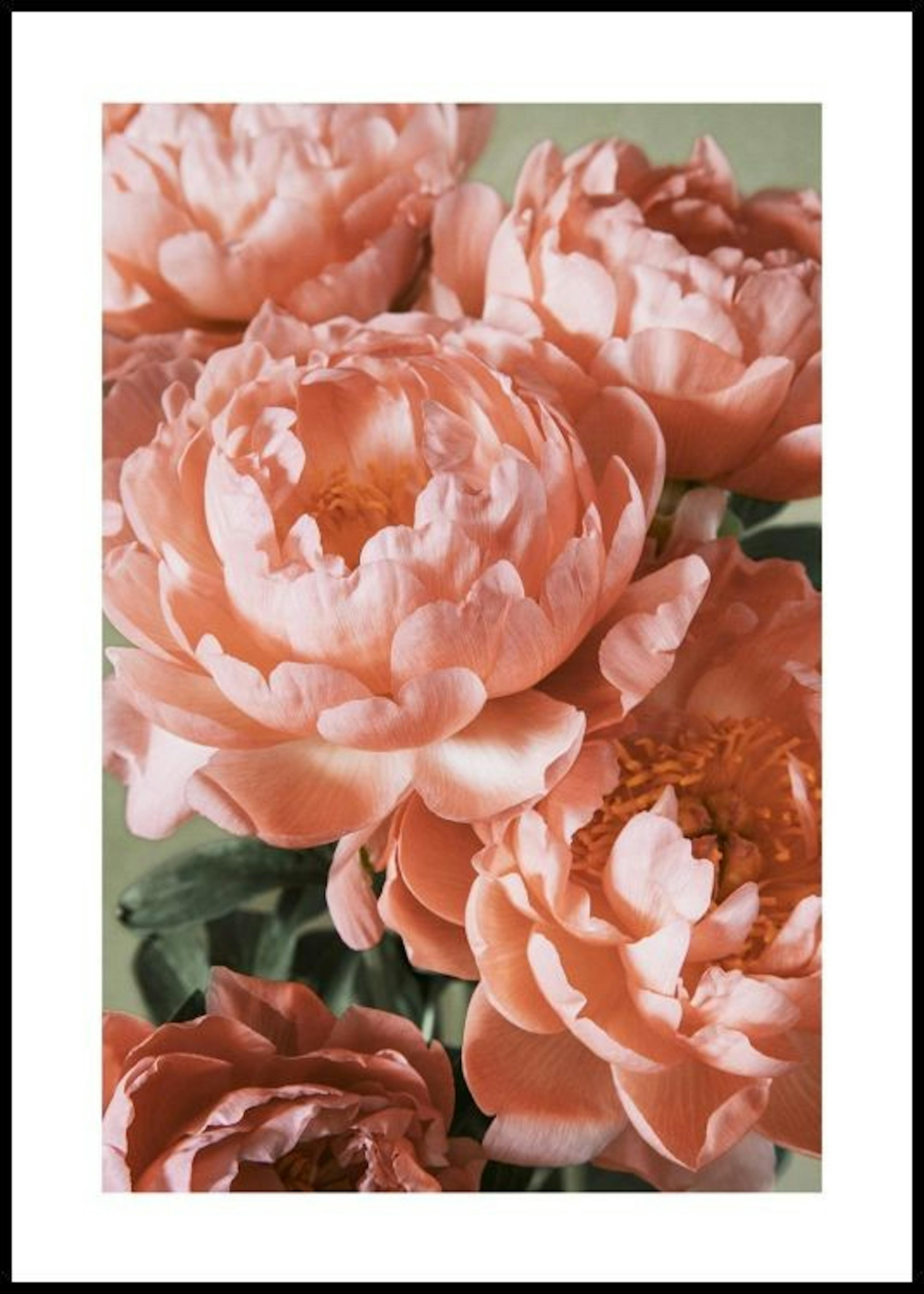 Rosa Blumenstrauß Poster 0