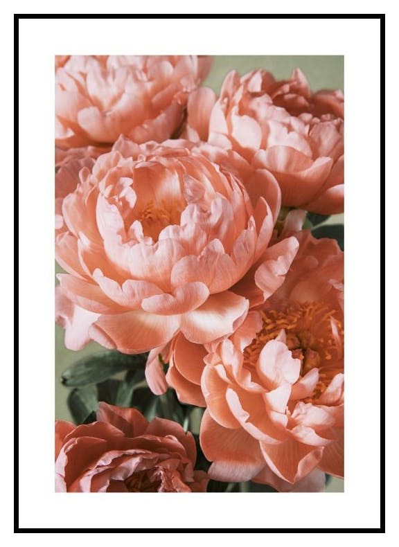 Rosa Bukett Poster (30x40 cm) - Poster Store