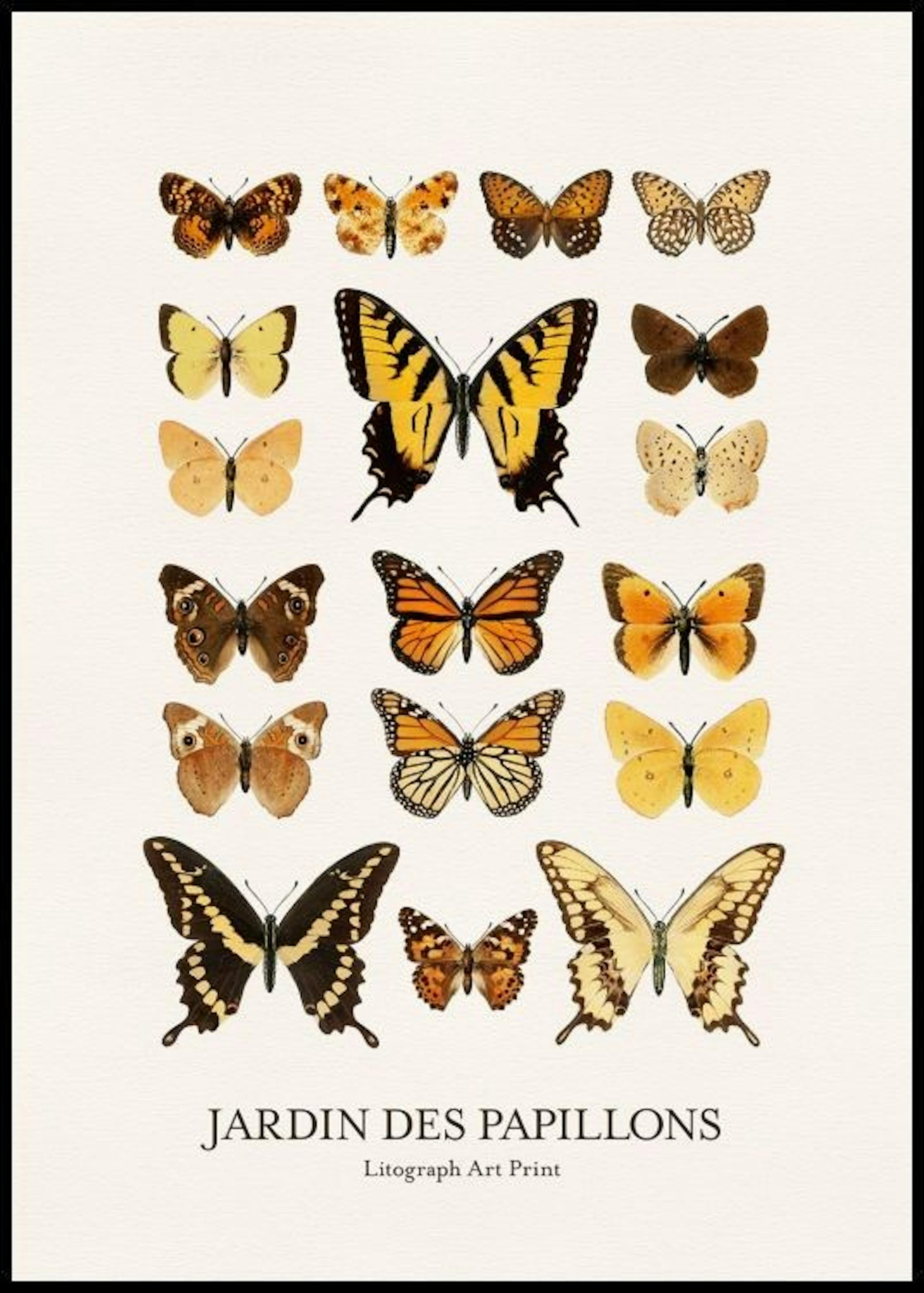 Jardin des Papillons Poster thumbnail
