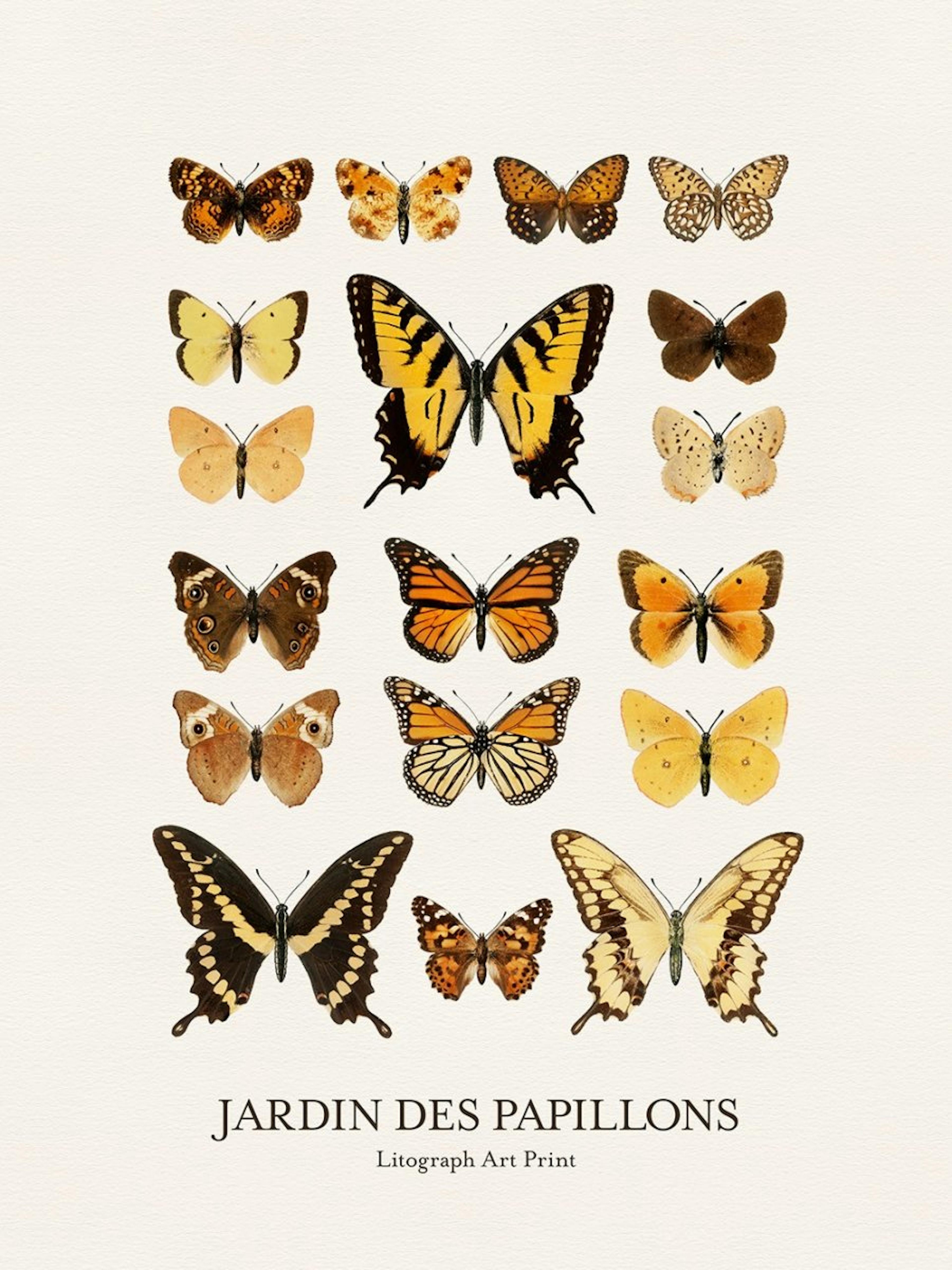 Jardin des Papillons Poster 0