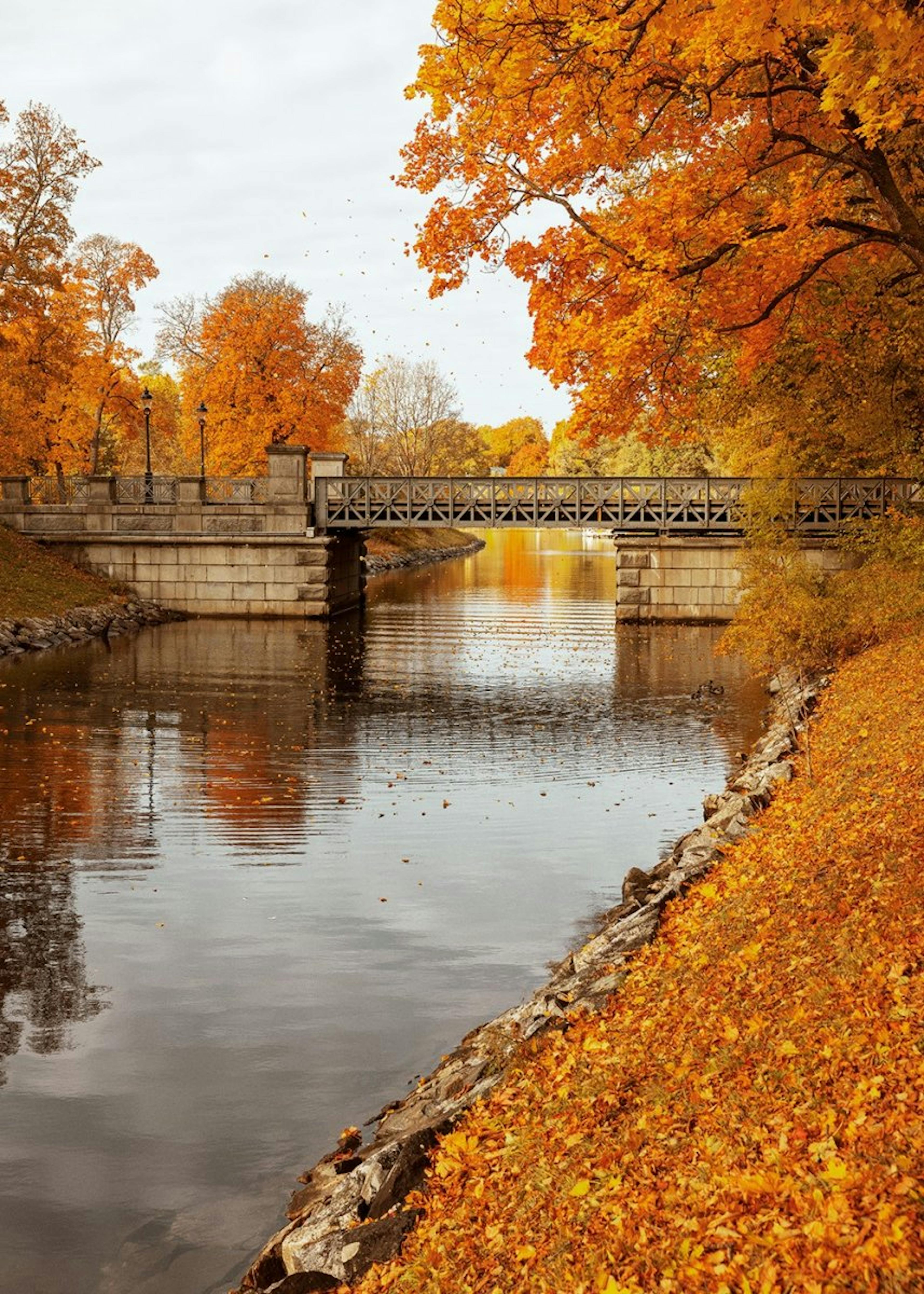 Herbstliche Brücke Poster 0