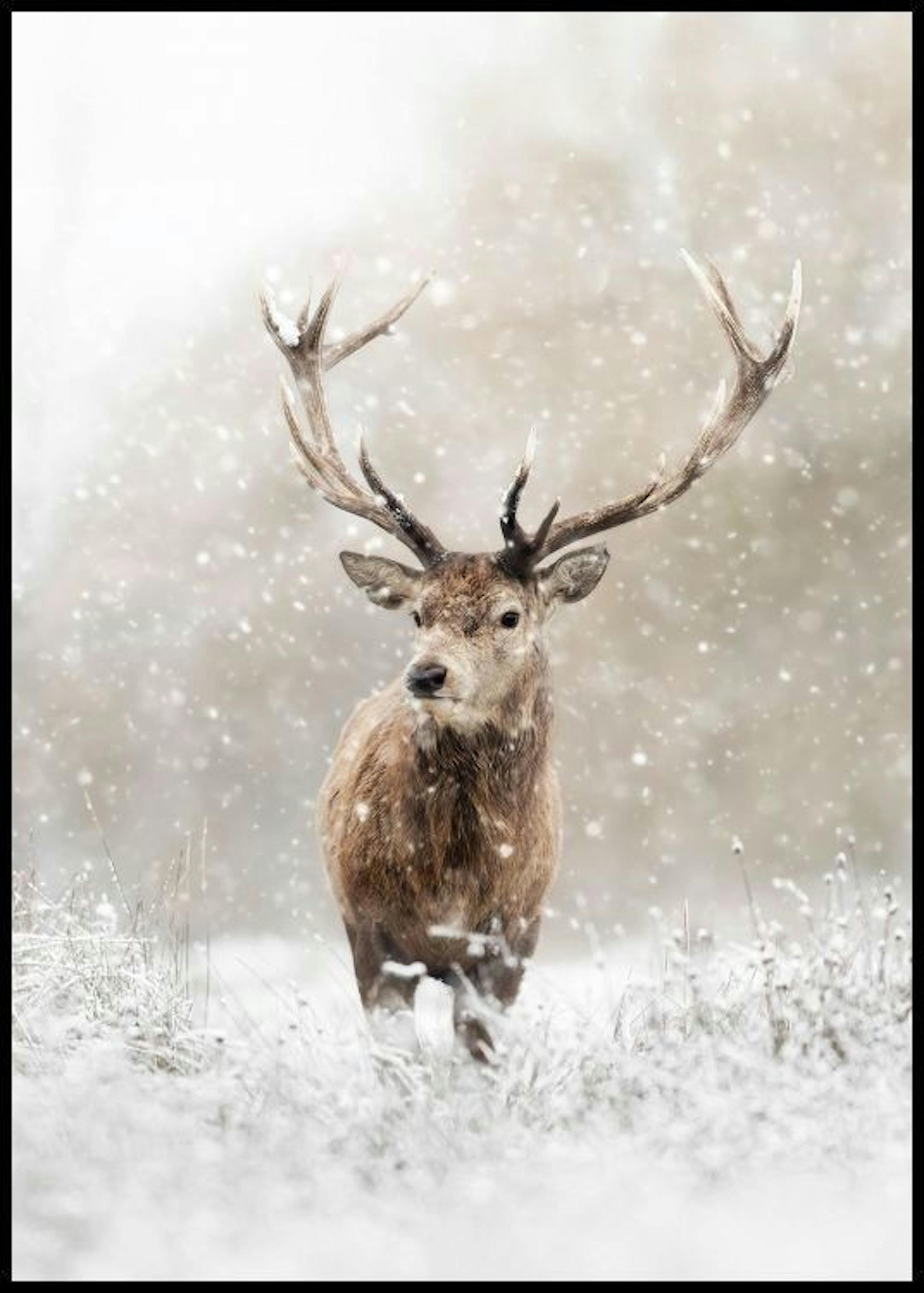 Deer in Snowfall Poster 0