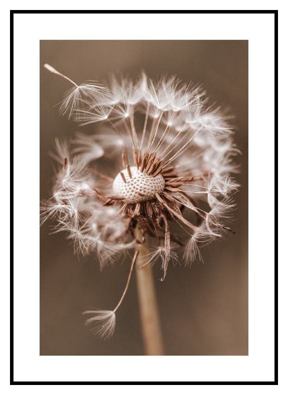 Herfst Dandelion Poster (21x30 cm) - Poster Store
