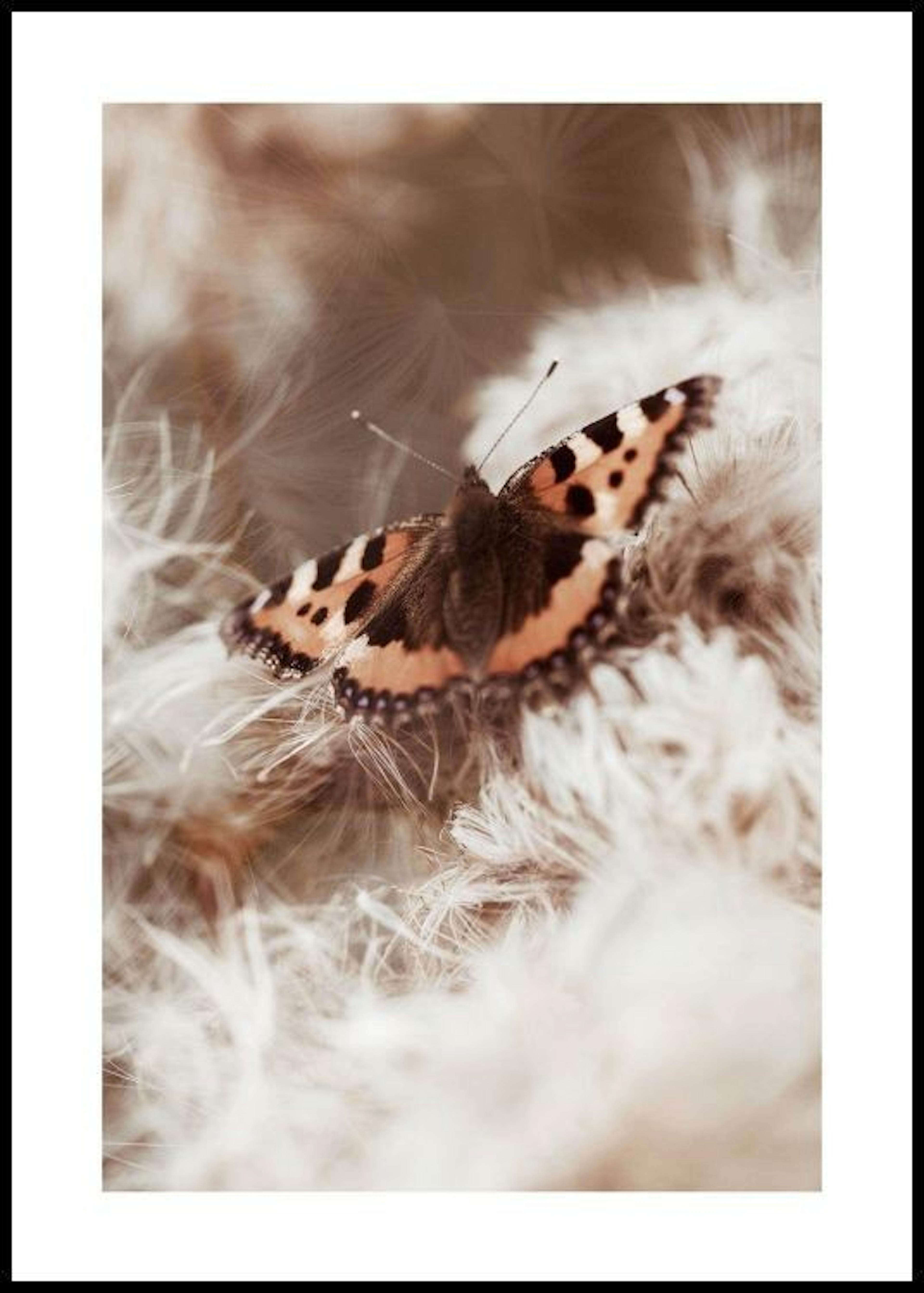 Turtoiseshell Butterfly Poster 0