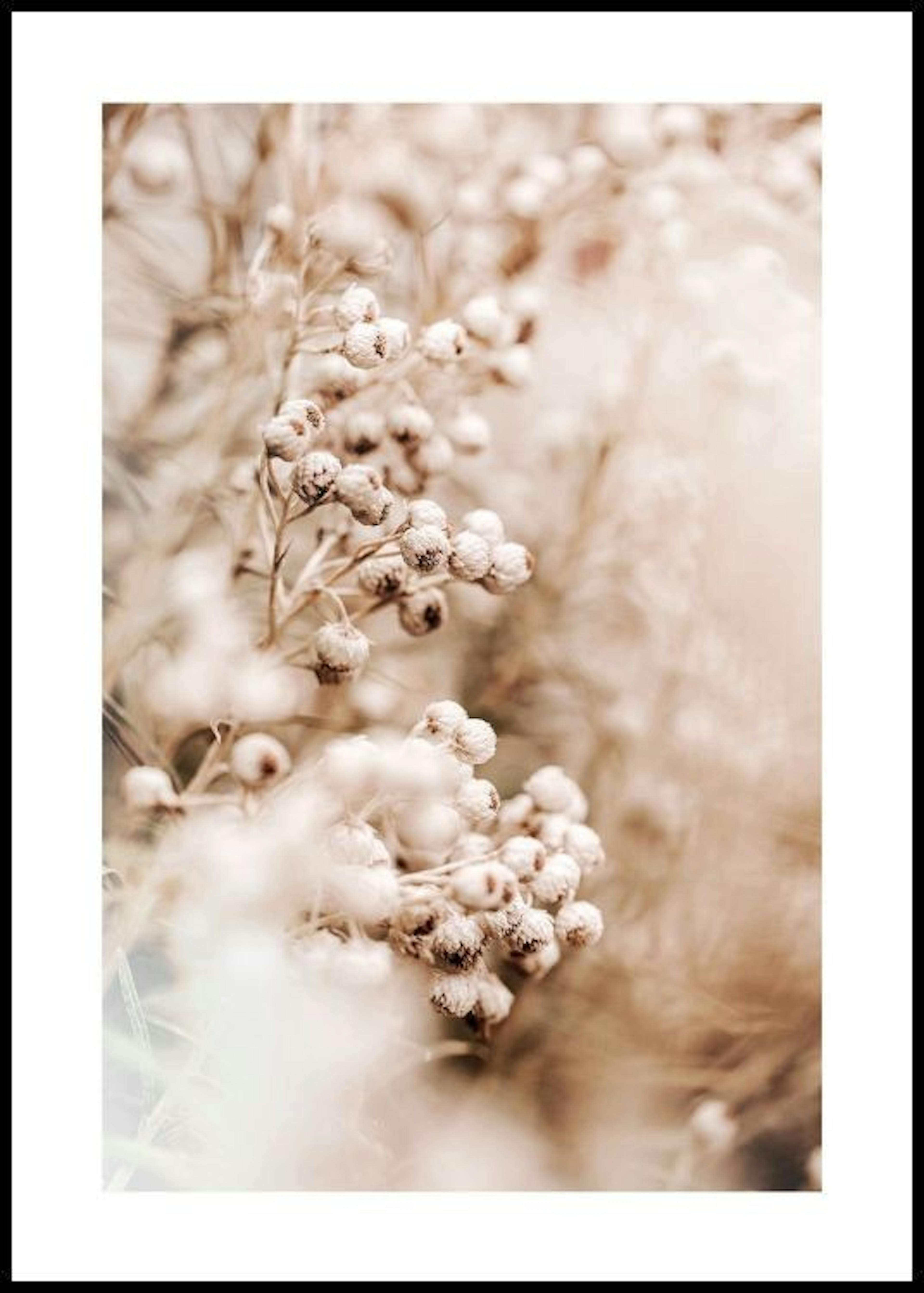 Soft Flower Poster 0