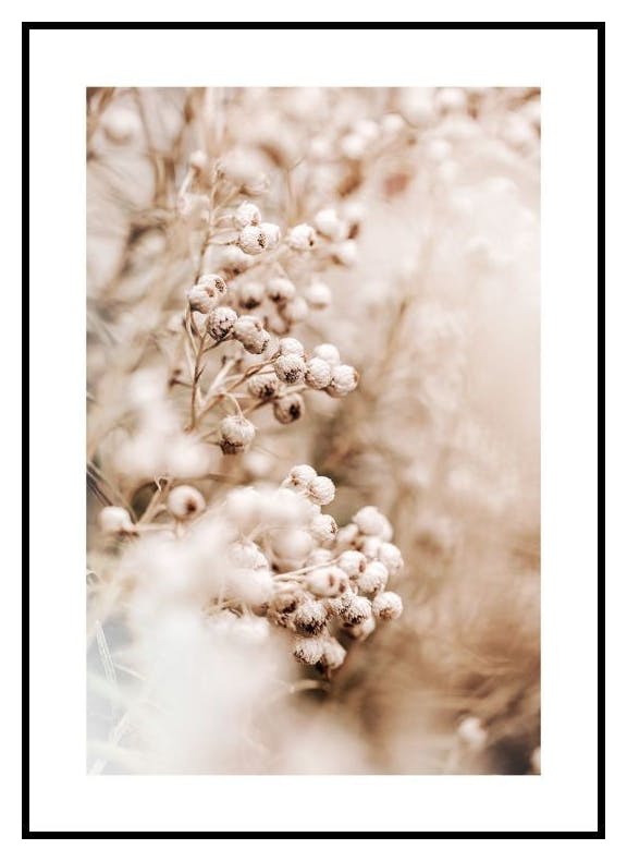 Delikatny Kwiat Plakat (30x40 cm) - Poster Store