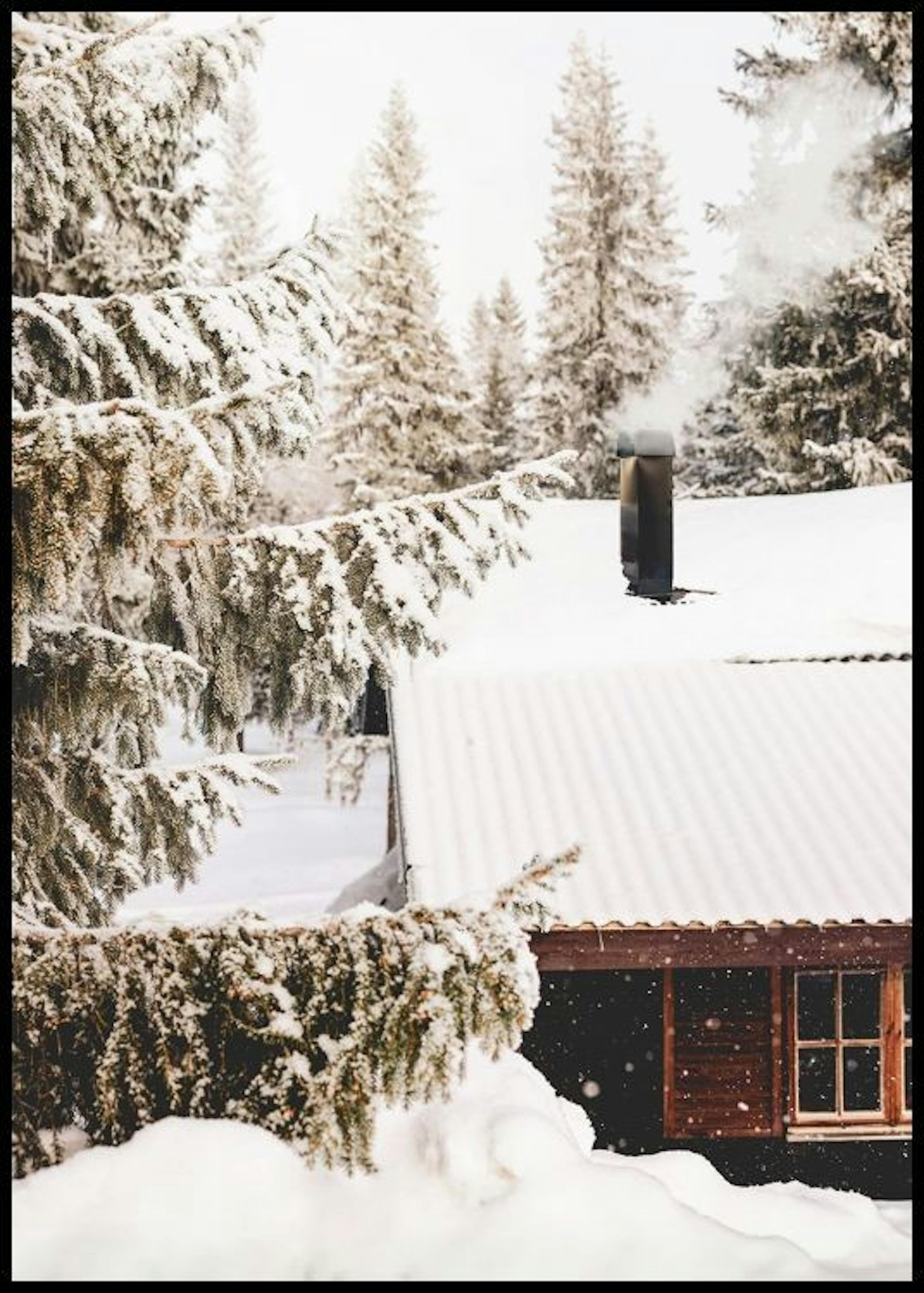 Chute de Neige en Après-midi Poster 0