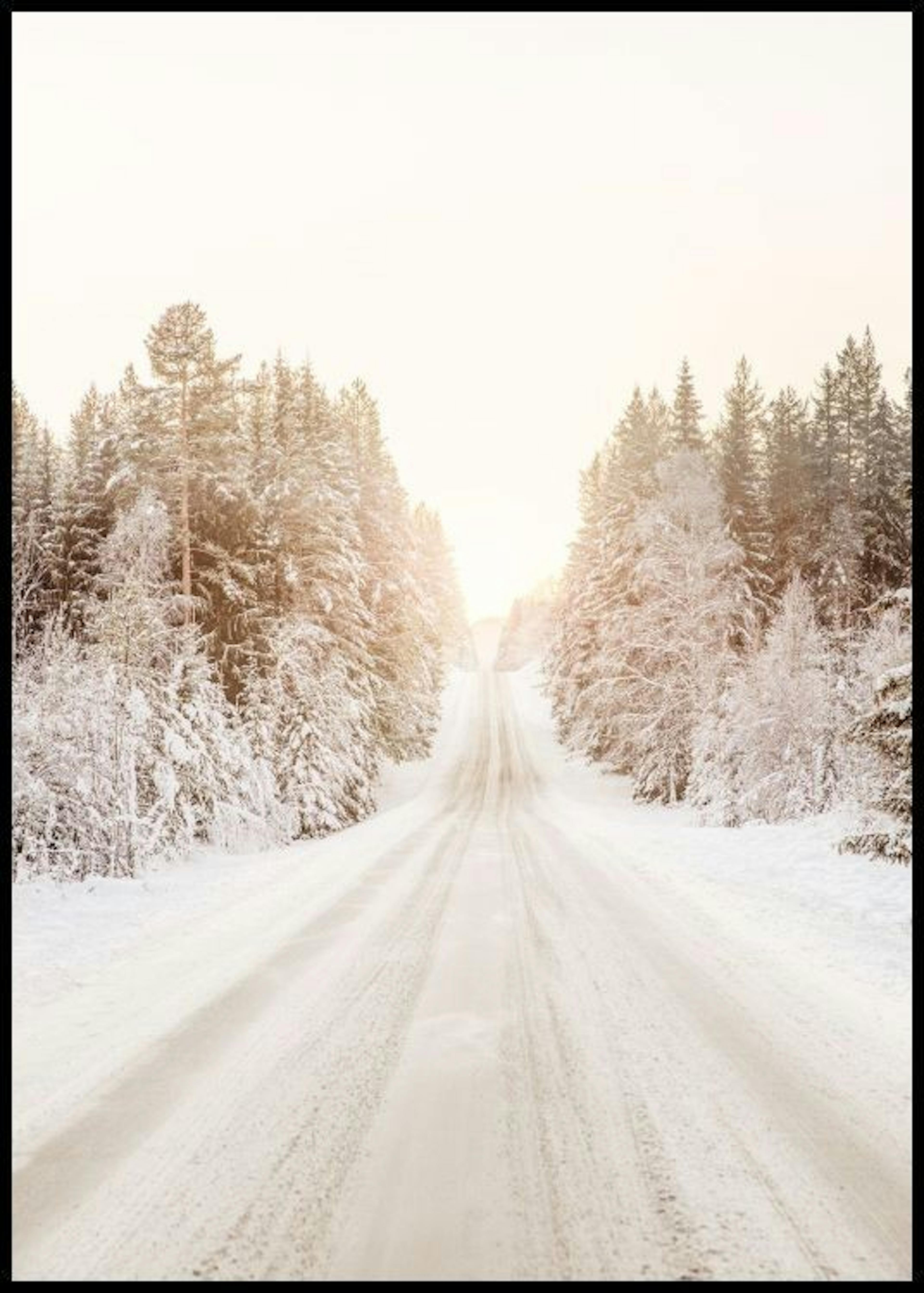 Snowy Road Poster 0