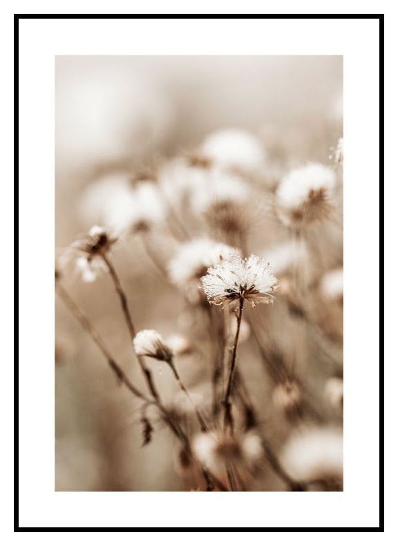 Little Winter Flower Poster (30x40 cm) - Poster Store