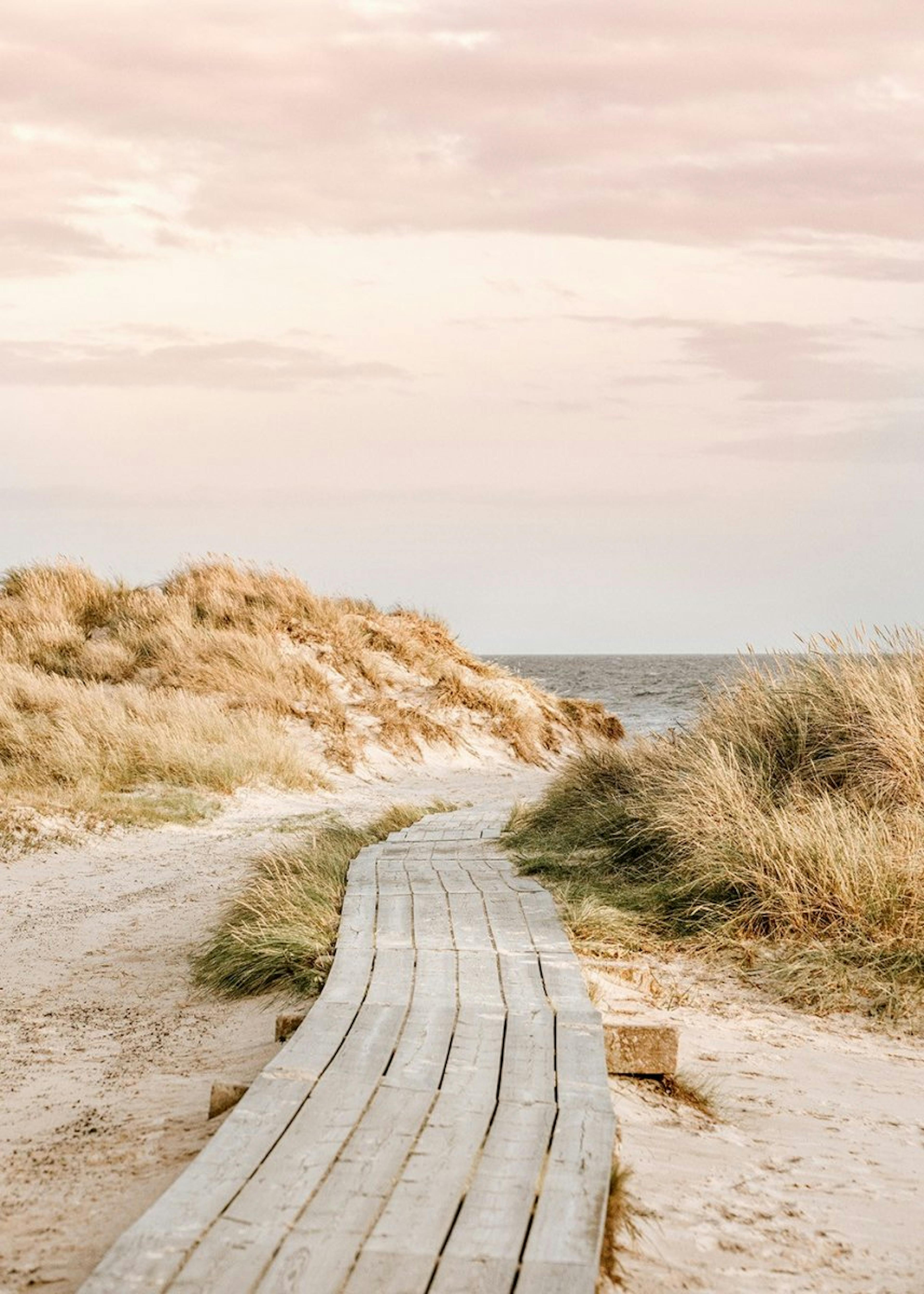 Gå til Havet Plakat 0