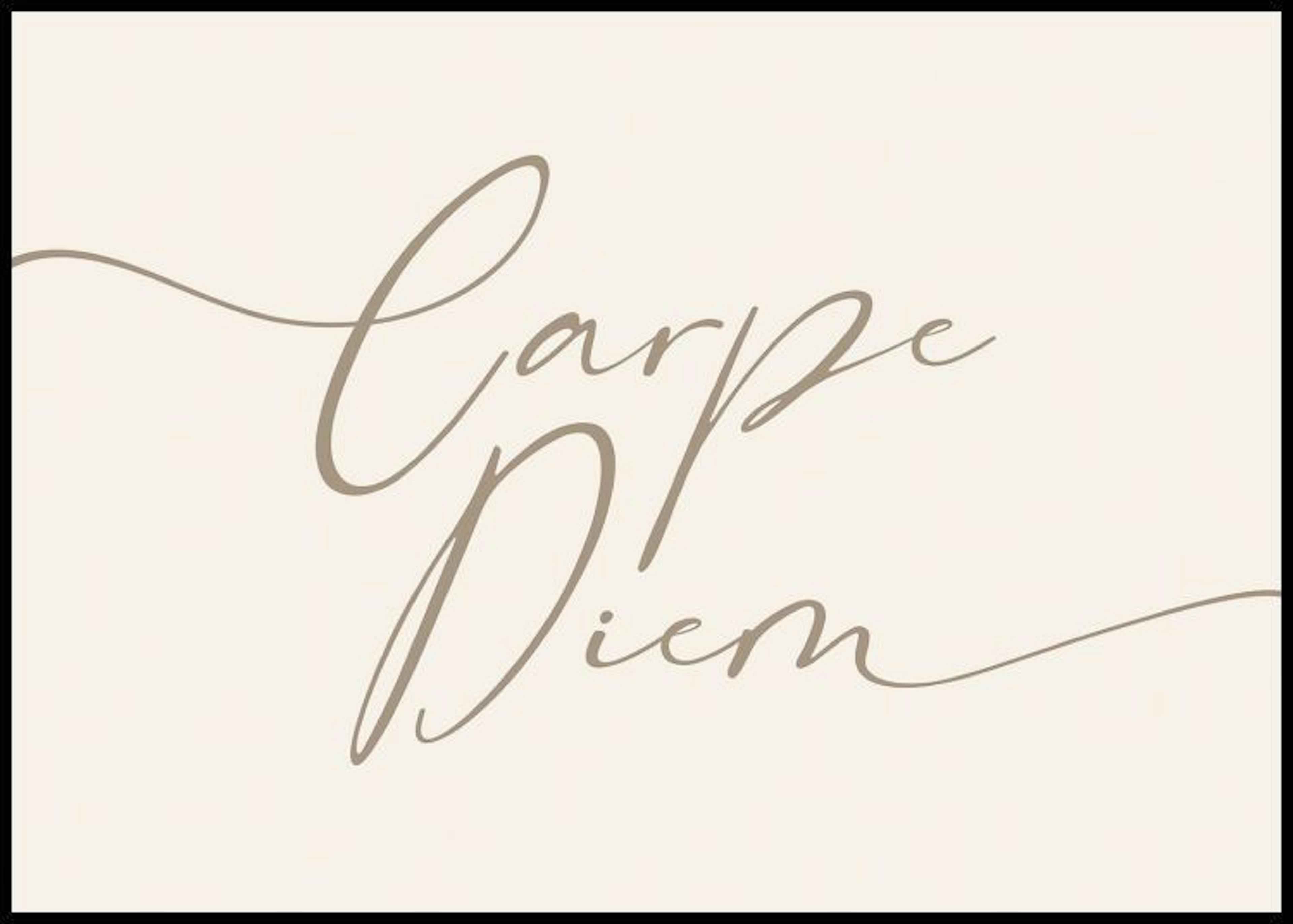 Carpe Diem Plakat 0