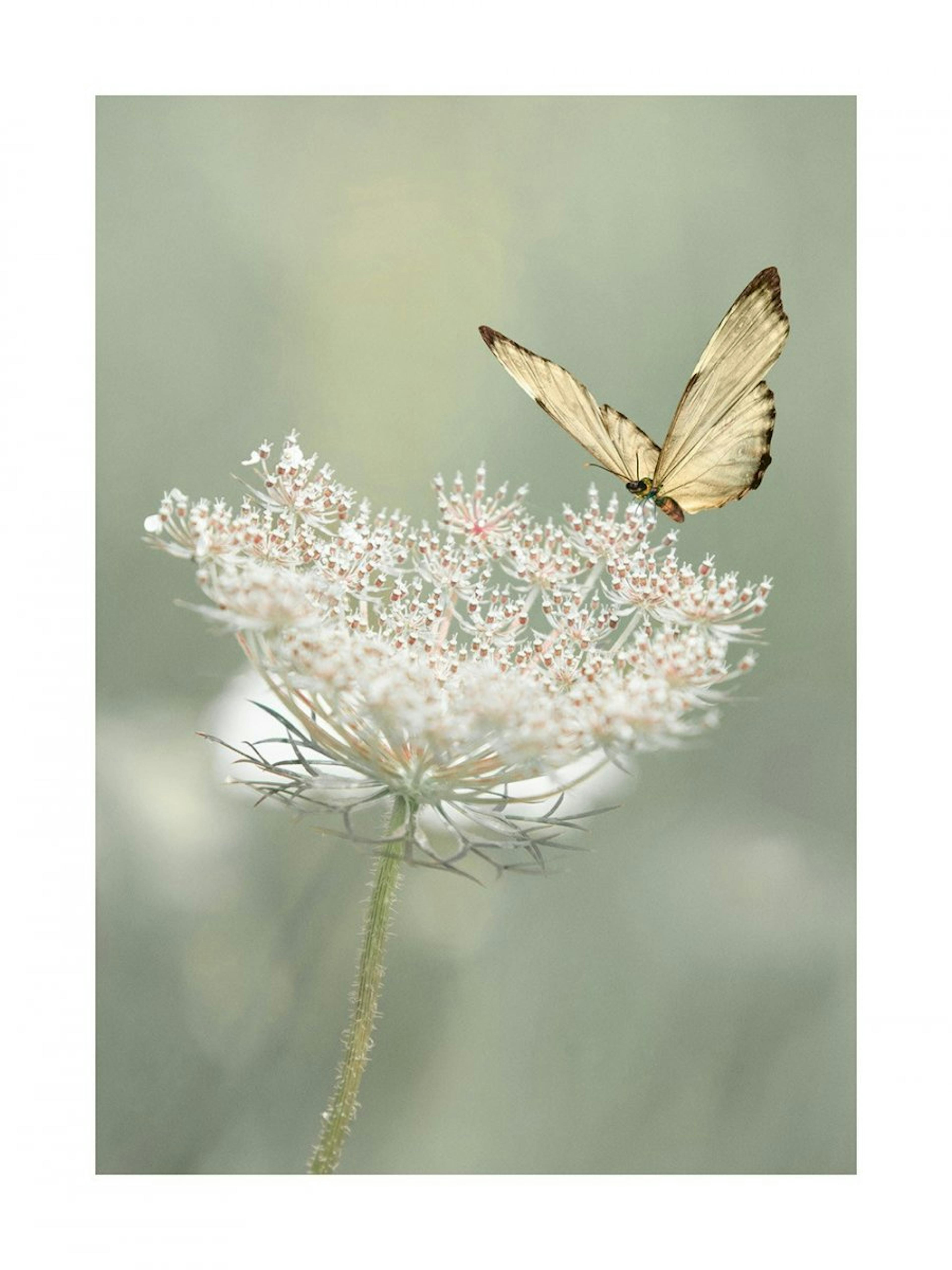 Wildflower Butterfly Plakat 0