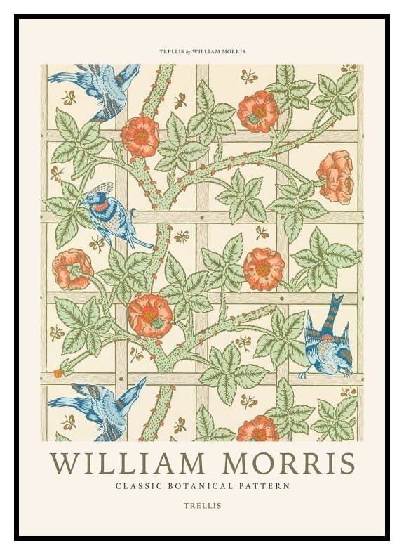 William Morris - Trellis Poster (50x70 cm) - Poster Store