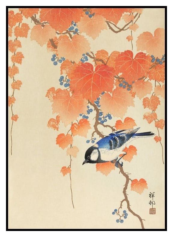 Ohara Koson - Sikorka na gałęzi Paulownii Plakat (30x40 cm) - Poster Store