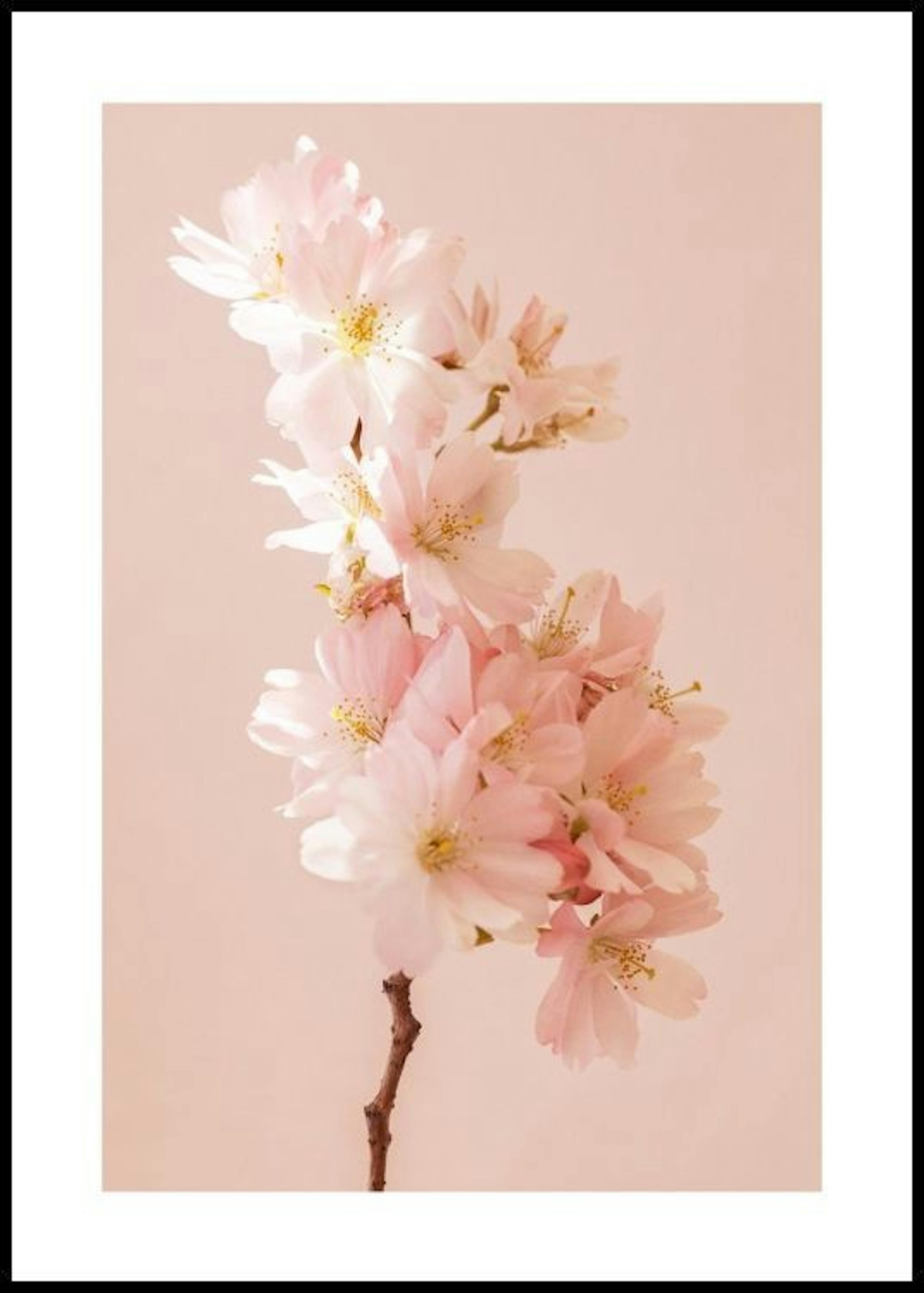 Romantic Cherry Blossom Poster 0