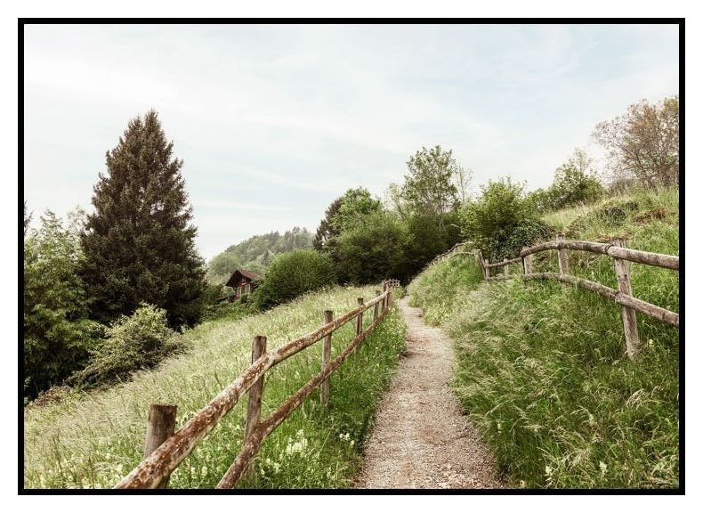 Sentiero tra le Colline Poster (50x70 cm) - Poster Store