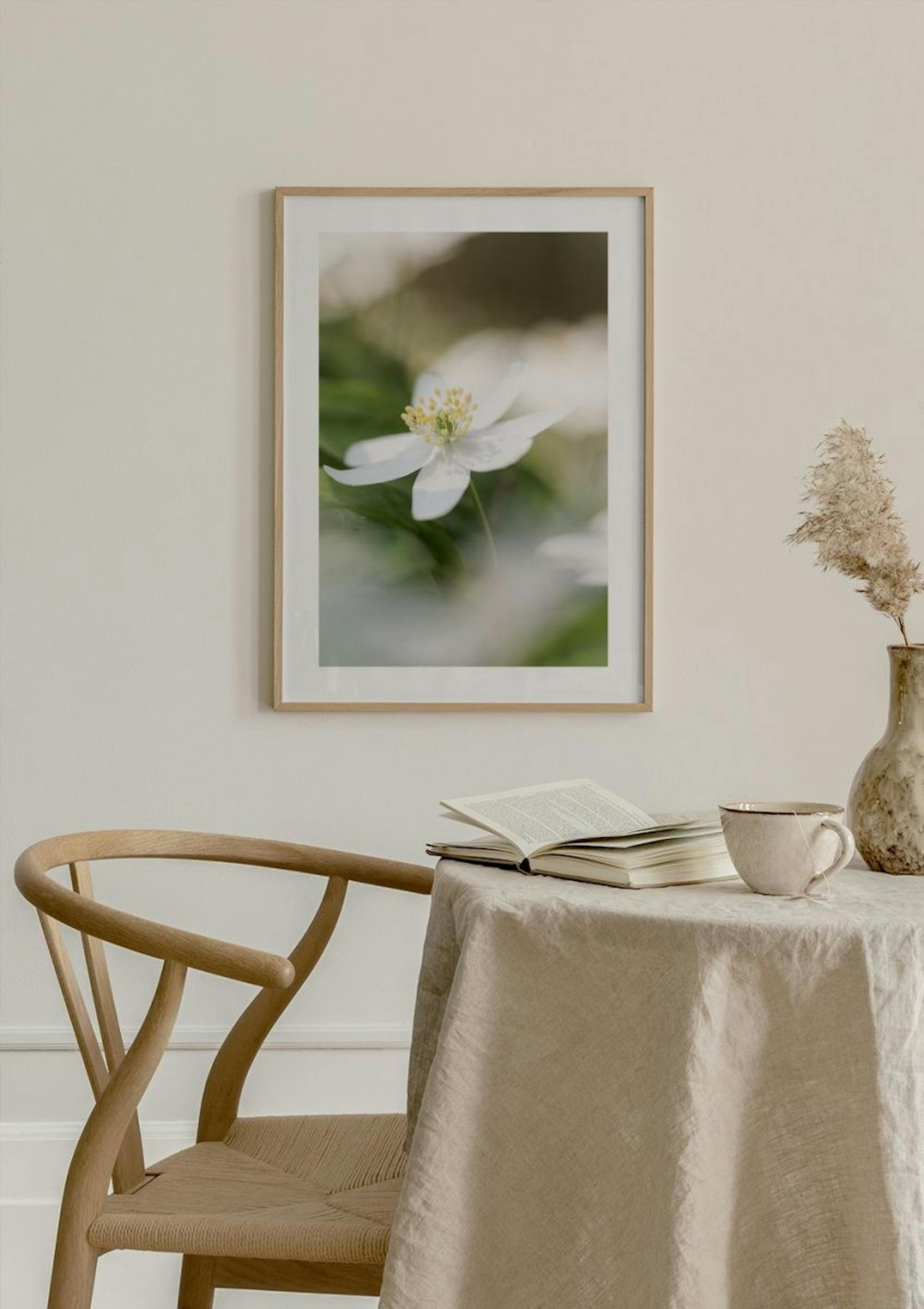 Wood Anemone Poster thumbnail