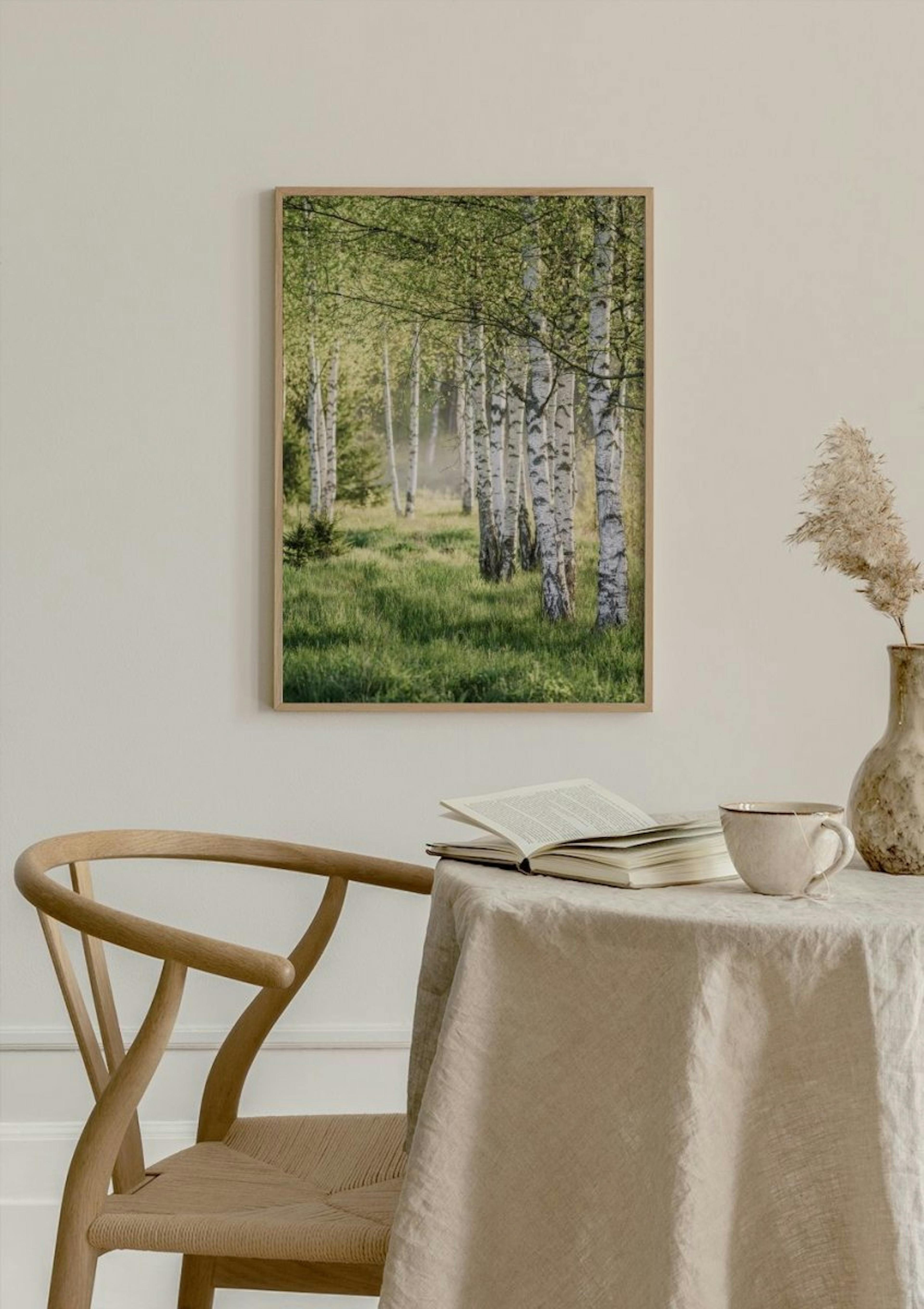 Spring Birch Forest Poster thumbnail