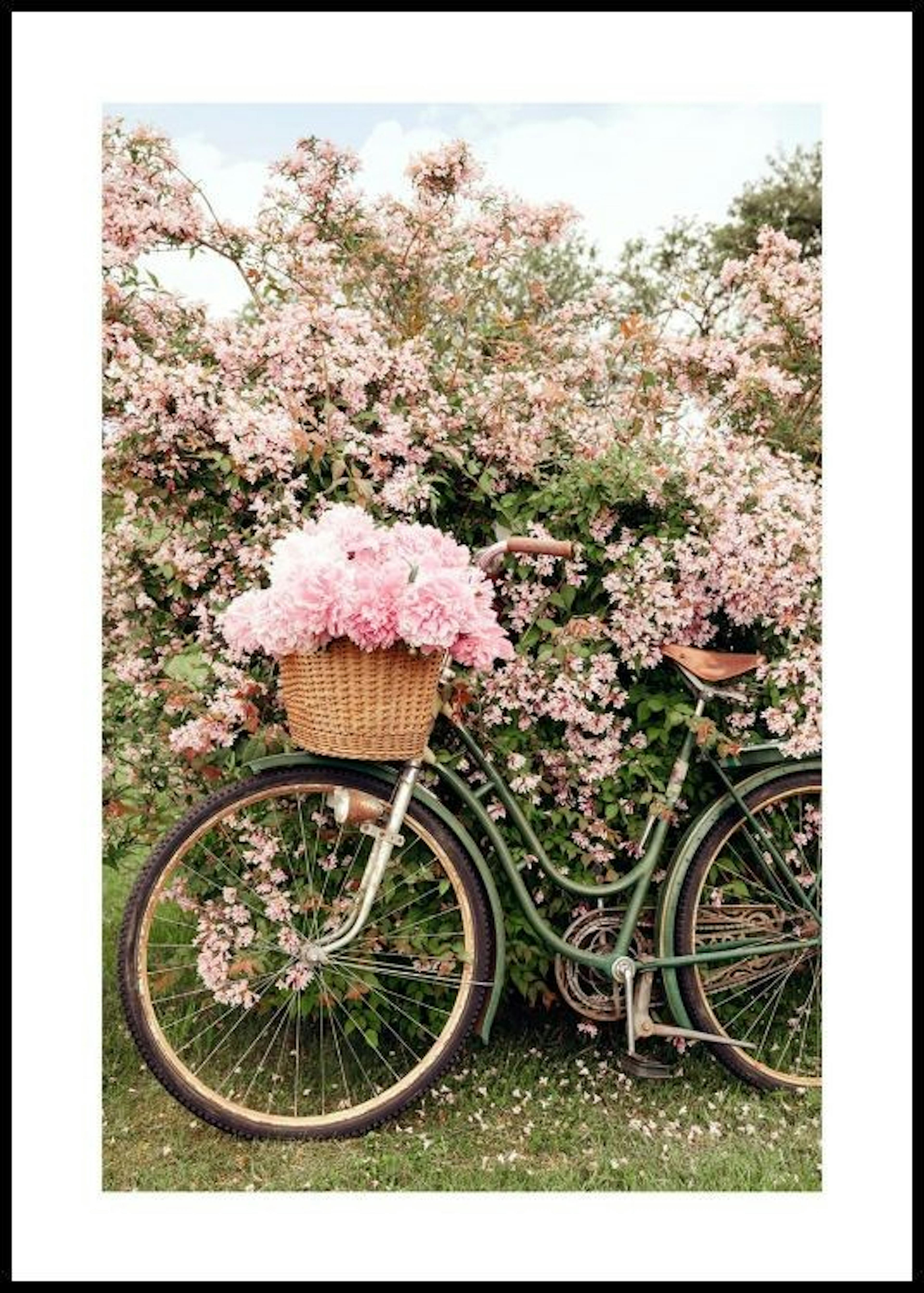 Cykel i Blomster Plakat 0