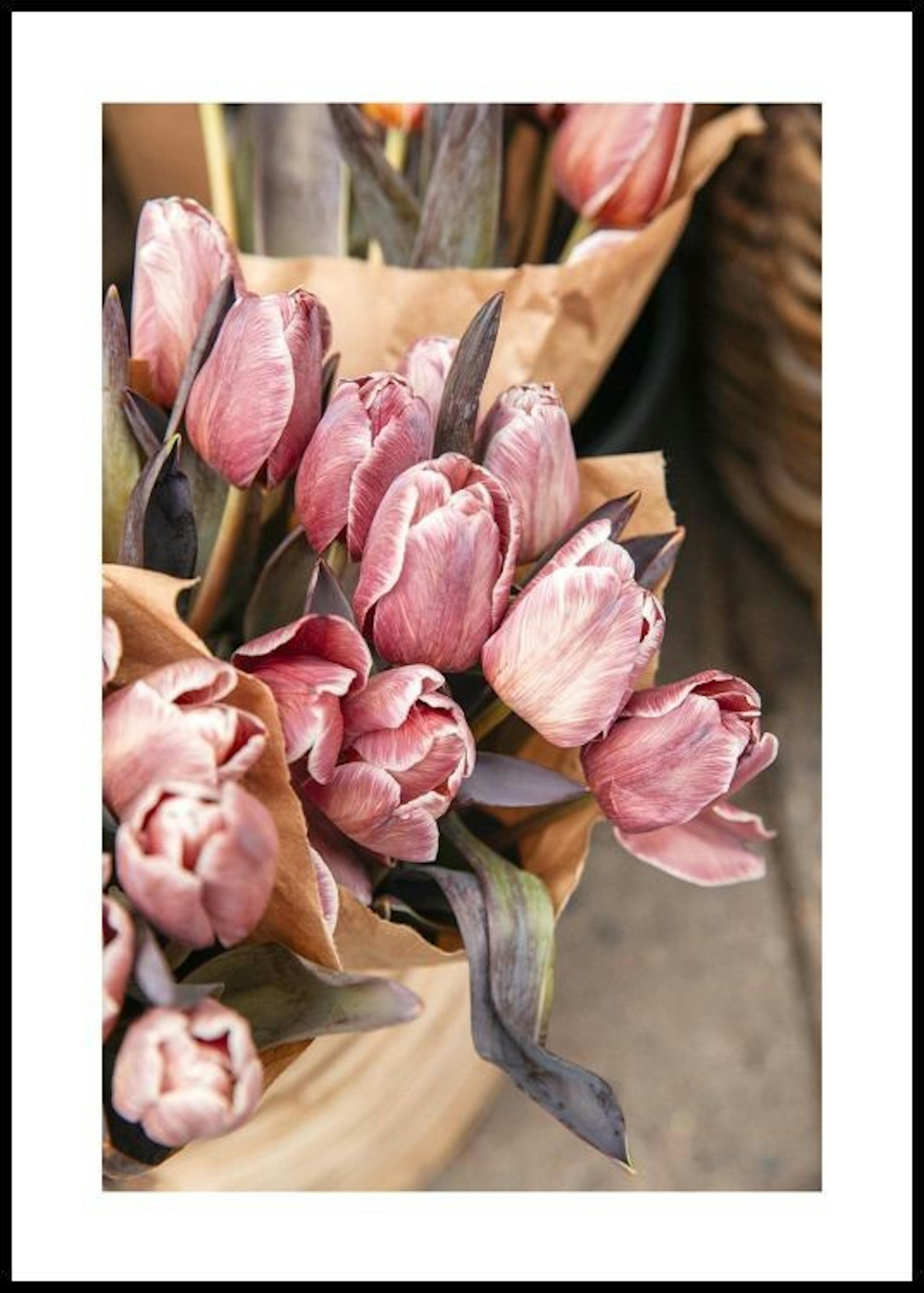 Brownie Tulip Buket Plakat 0