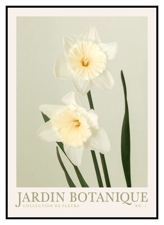 Jardin Botanique No1 Poster (21x30 cm) - Poster Store