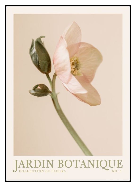 Jardin Botanique No3 Plakat (50x70 cm) - Poster Store