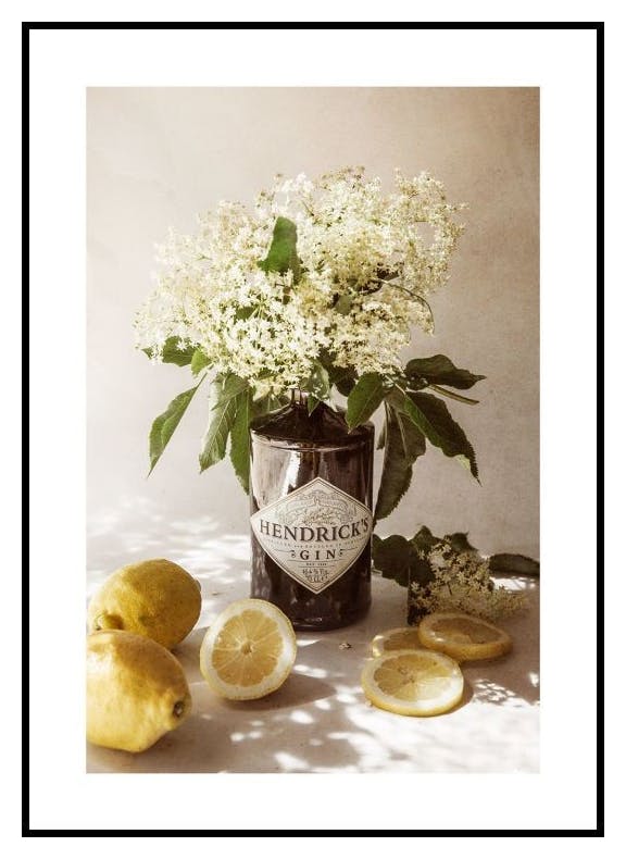 Citroner och Flädergin Poster (50x70 cm) - Poster Store