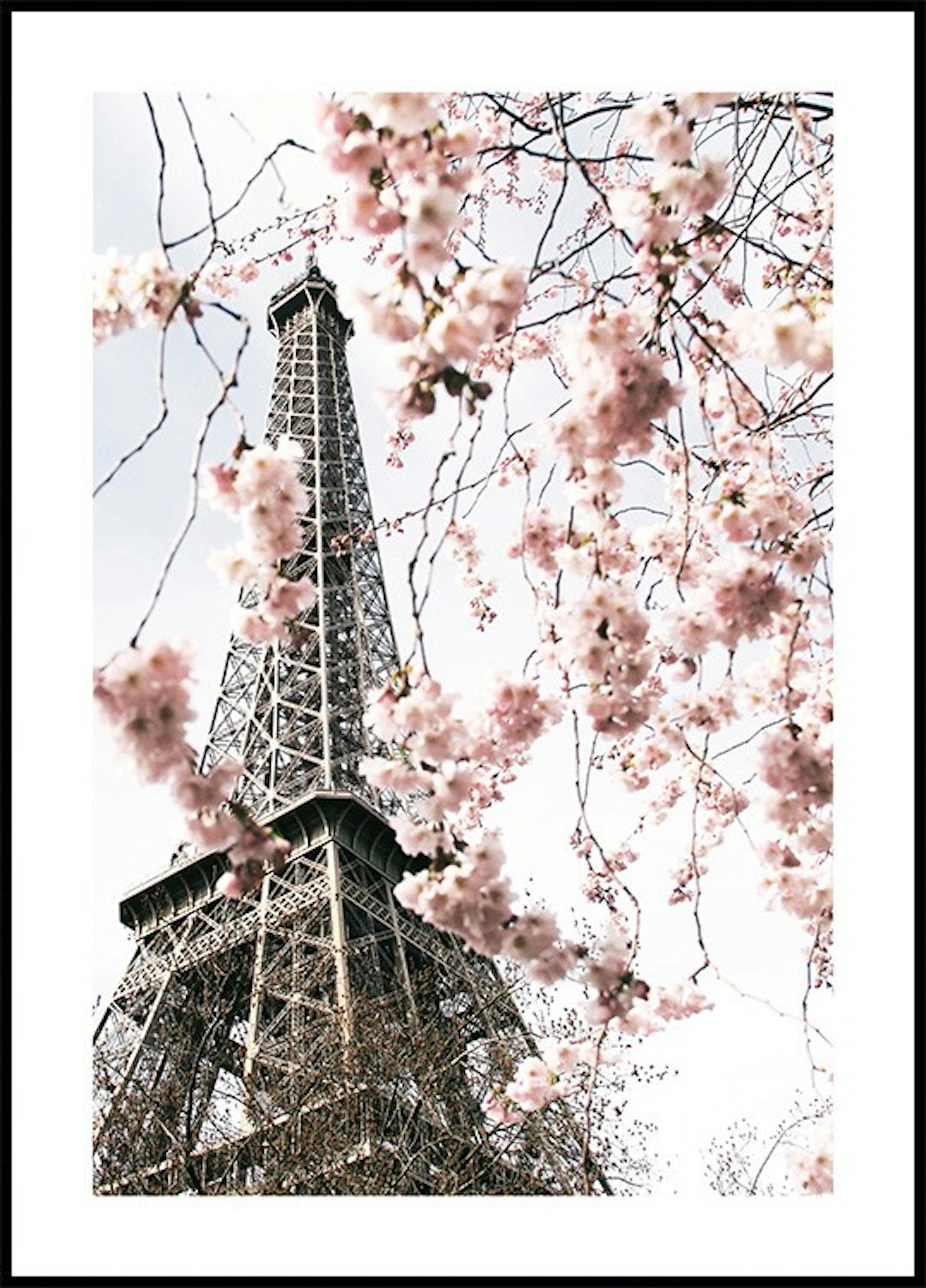 Pink Paris Plakatpakke thumbnail