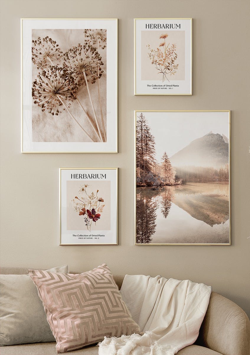 Herbiers Lot de posters (ONE SIZE) - Poster Store