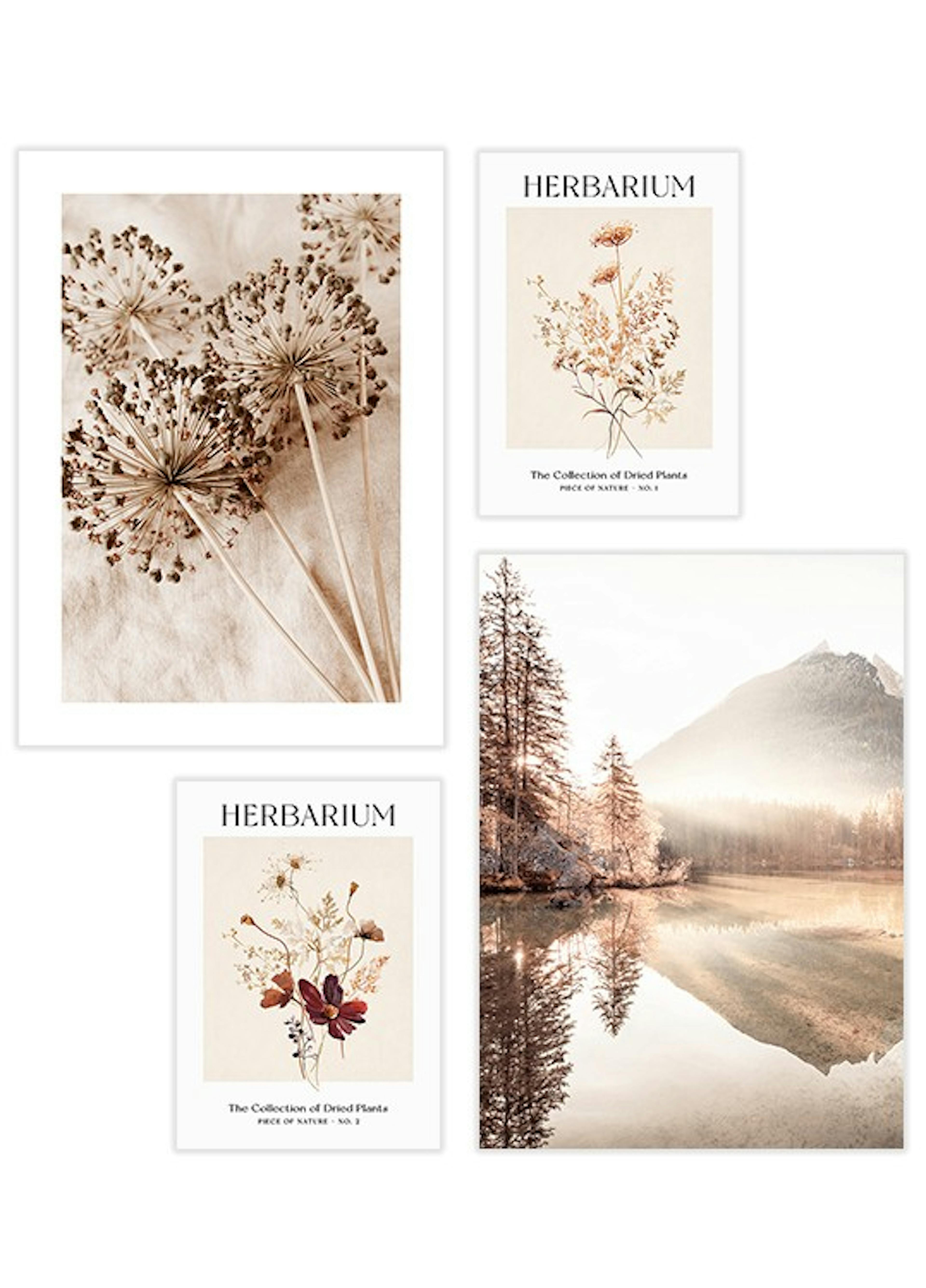 Herbarium Poster pack 0