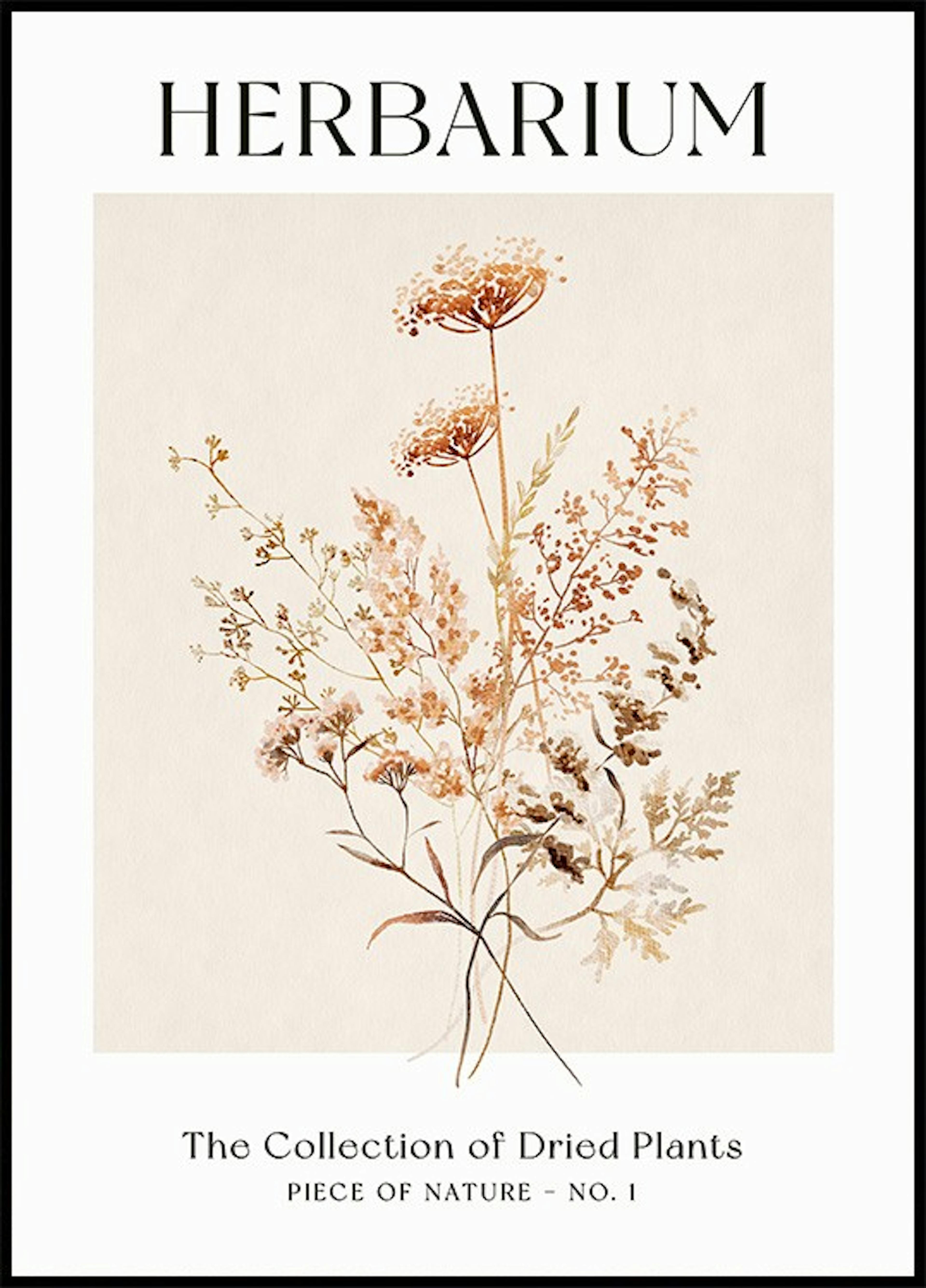 Herbarium Plakat pakker thumbnail