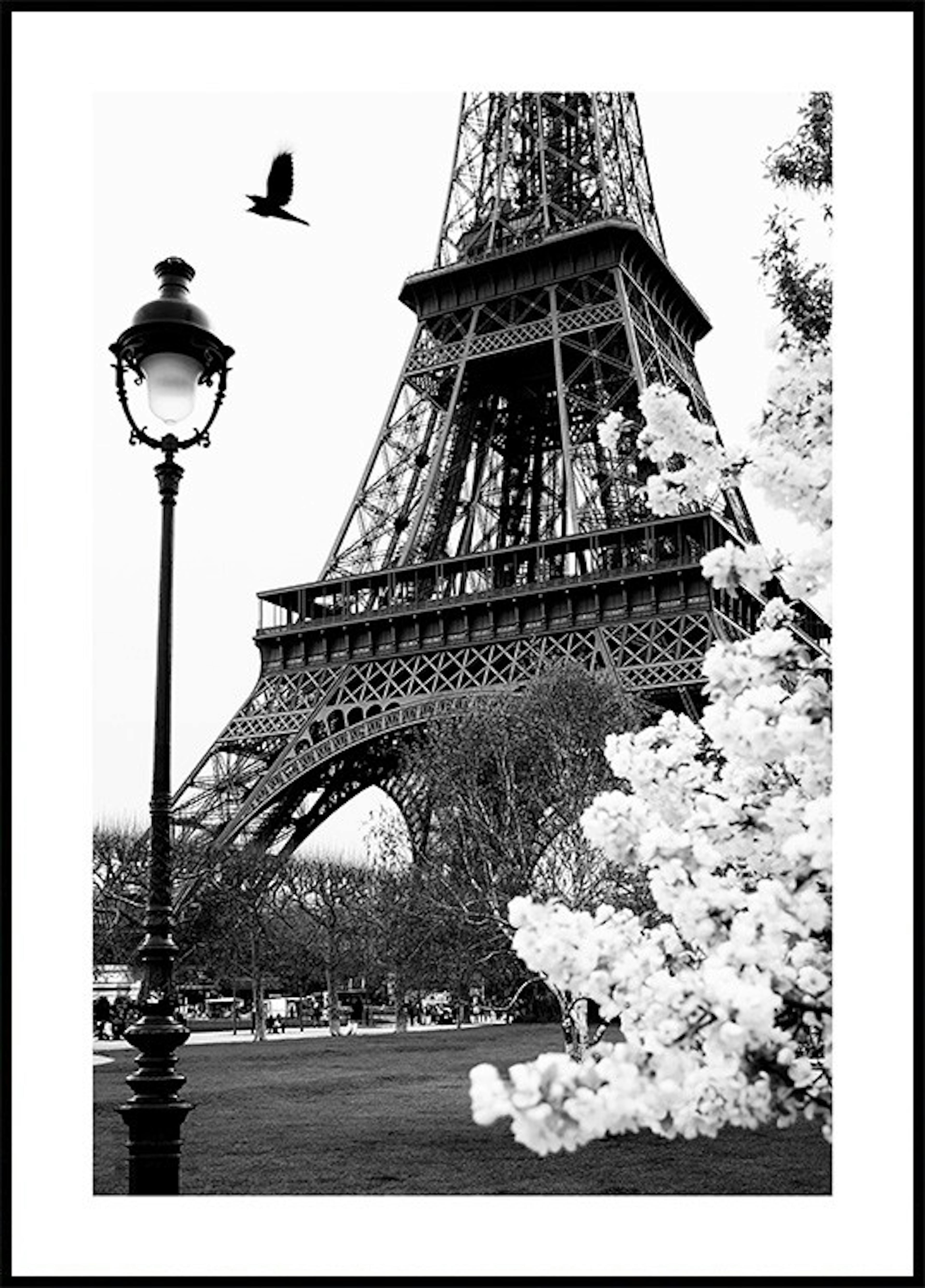 Paris Plakat pakker thumbnail