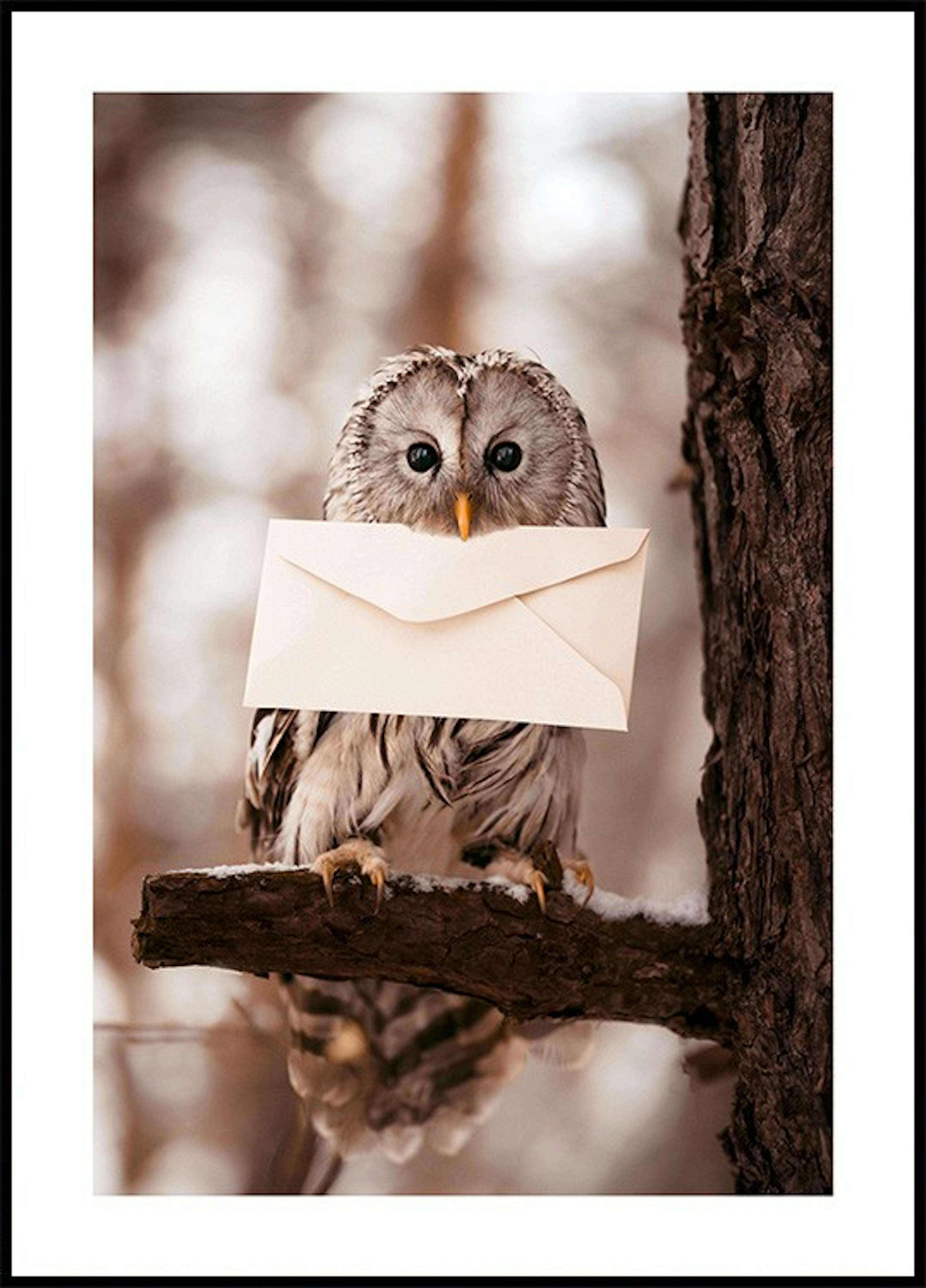 Letter Owl Poster pack thumbnail