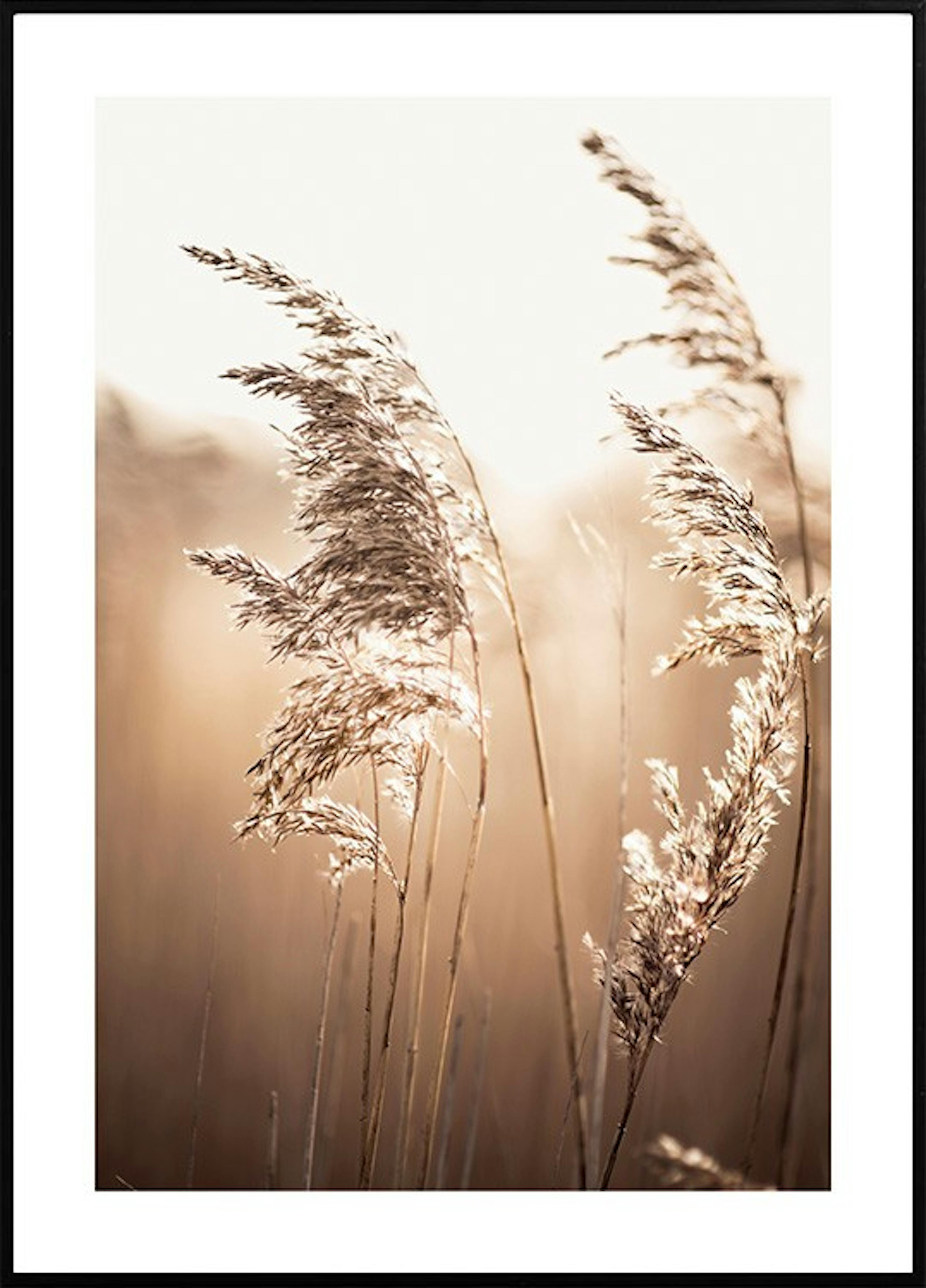 Happy soul duo​ posterpaket thumbnail