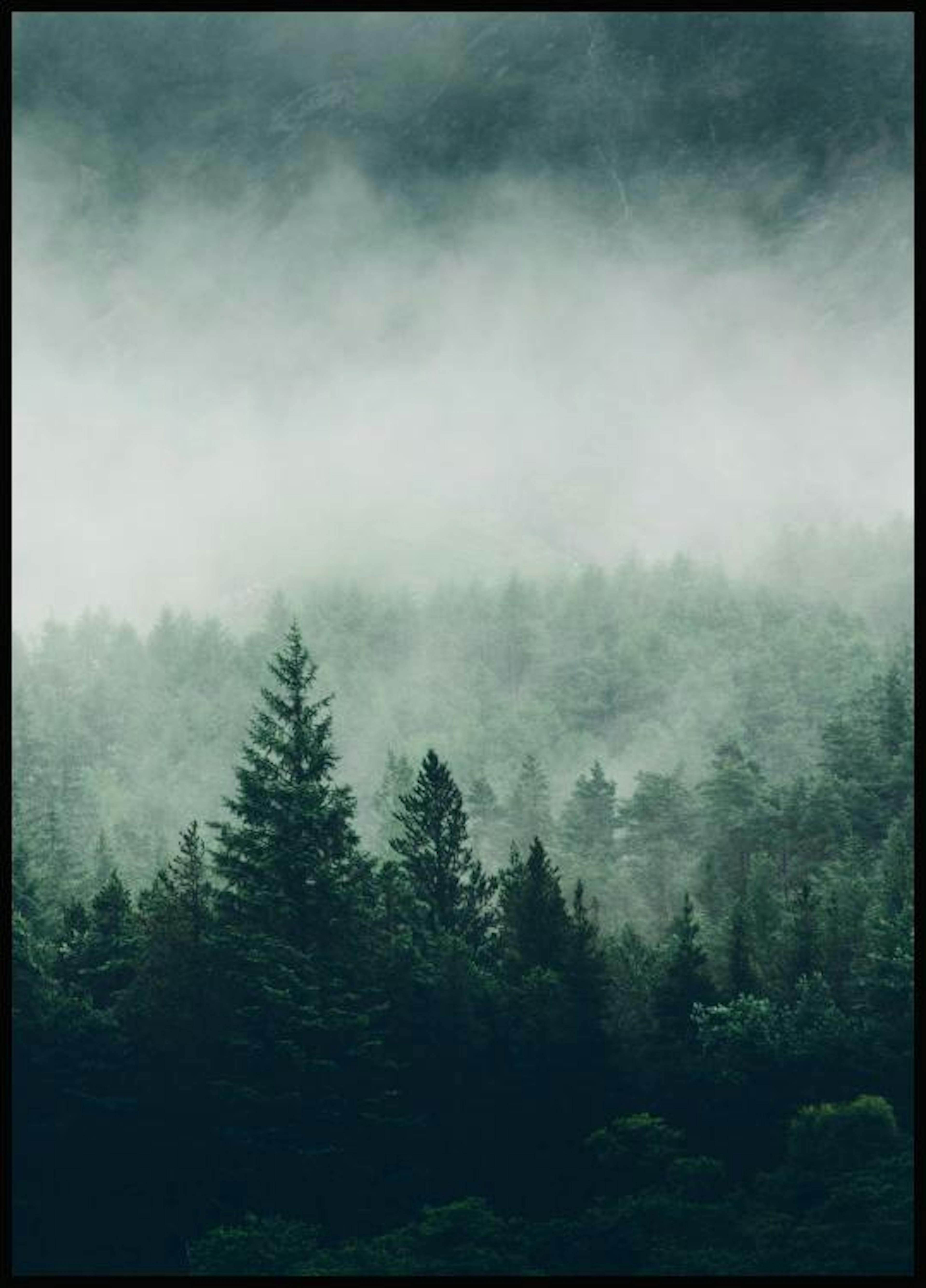 霧に覆われた深い森 ポスター 0