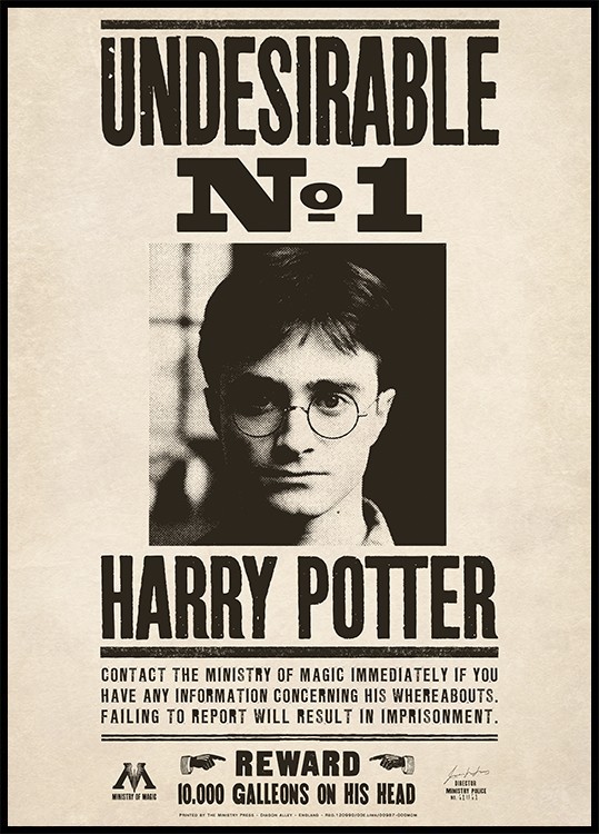 Harry Potter™ Indeseable Póster