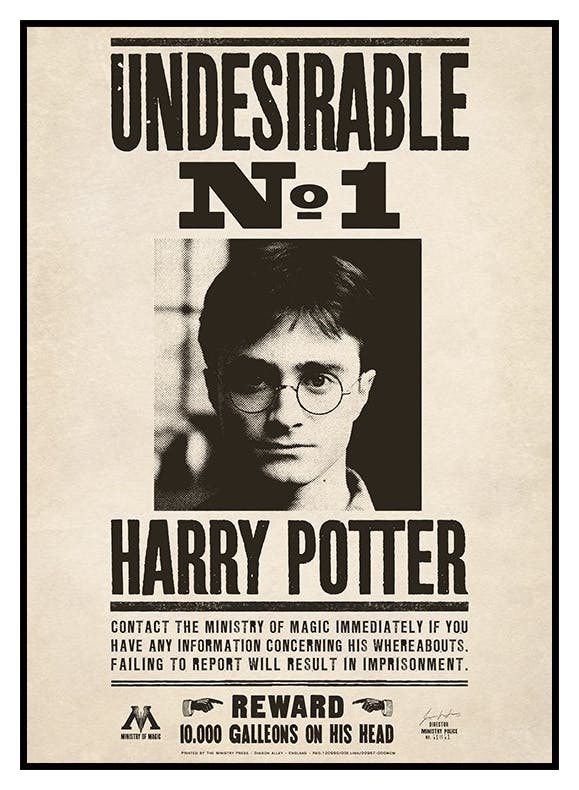 Harry Potter™ - Undesirable Poster (30x40 cm) - Poster Store