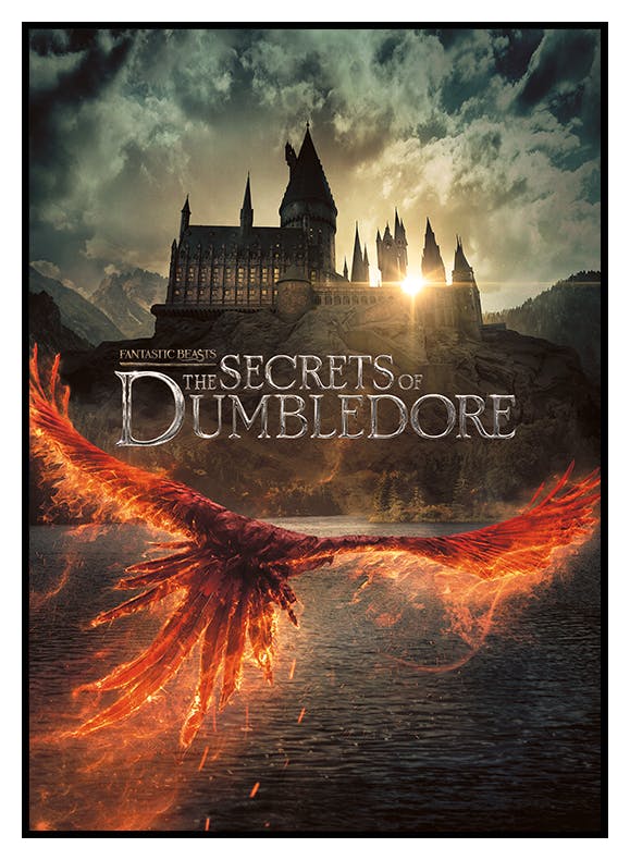 Prints Fantastic Beasts™ - Secrets of Dumbledore Poster (50x70 cm) - Poster Store