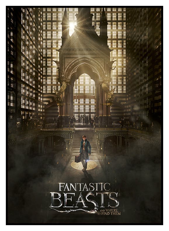 Prints Fantastic Beasts™ - Where to Find Them Poster (50x70 cm) - Poster Store