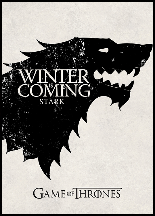 Game of Thrones™ - Winter is Coming Poster
