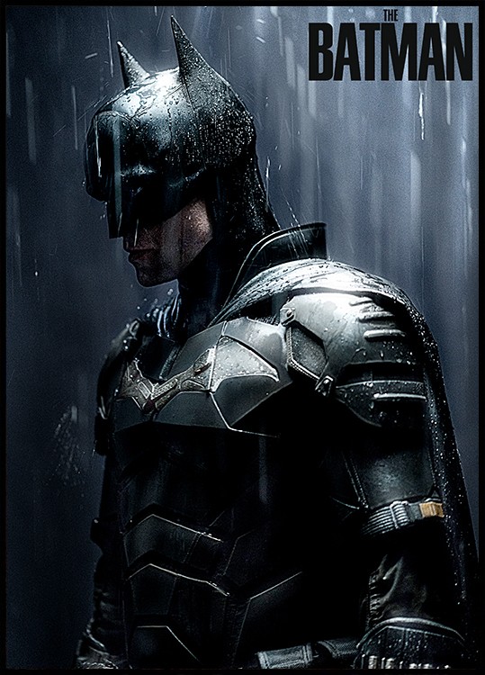 The Batman™ - Downpour Poster