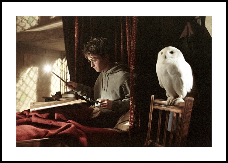 Harry Potter et sa chouette. Huile sur toile