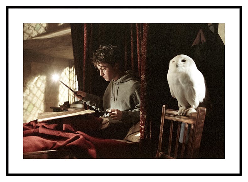 Harry Potter™ - Wizardry with Hedwig Plakat (30x40 cm) - Poster Store