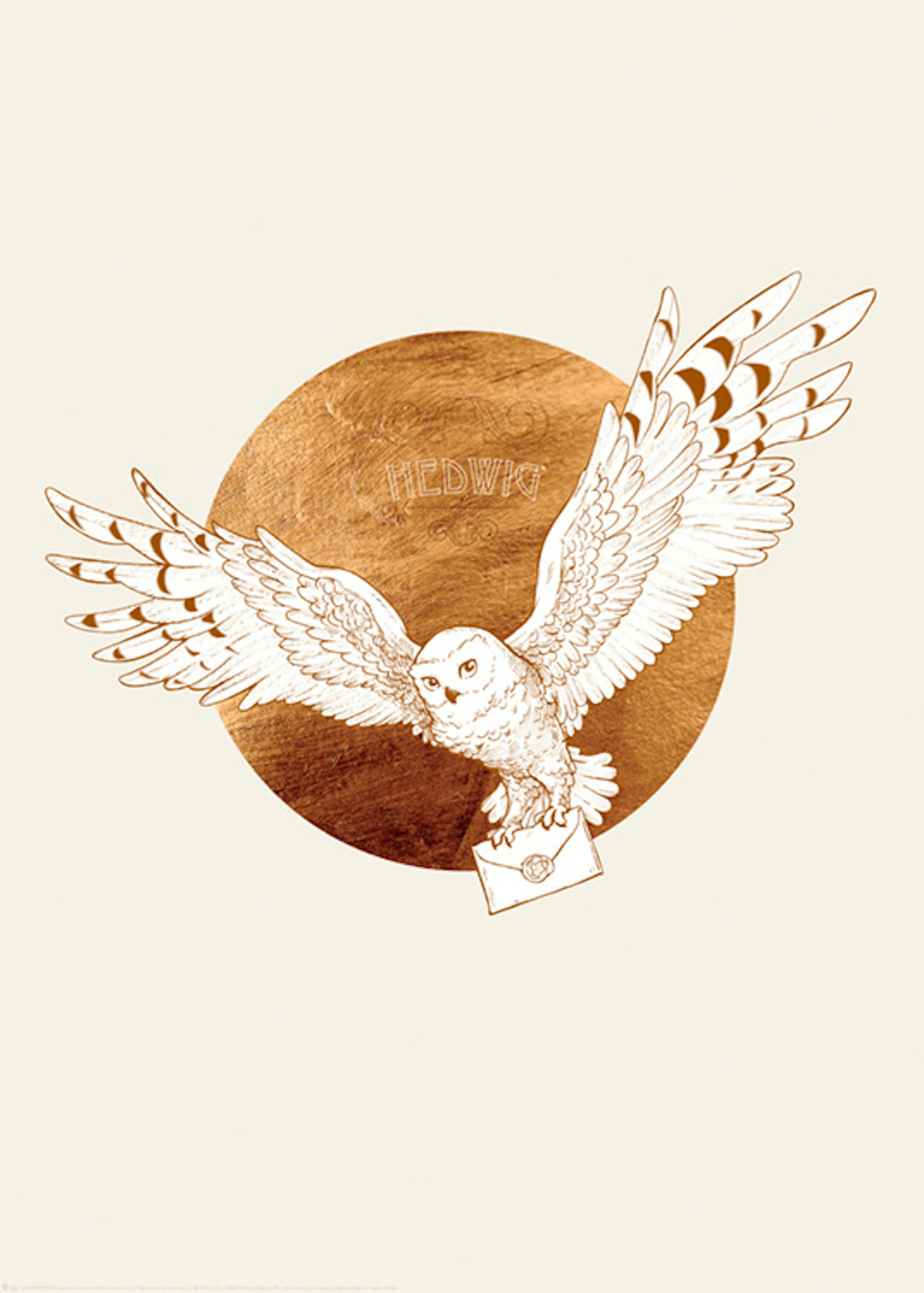 Harry Potter™ - Hedwig and the Letter Plakat 0