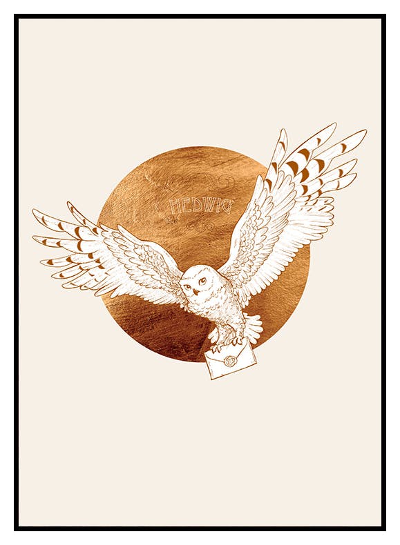 Harry Potter™ - Hedwig and the Letter Affiche (50x70 cm) - Poster Store