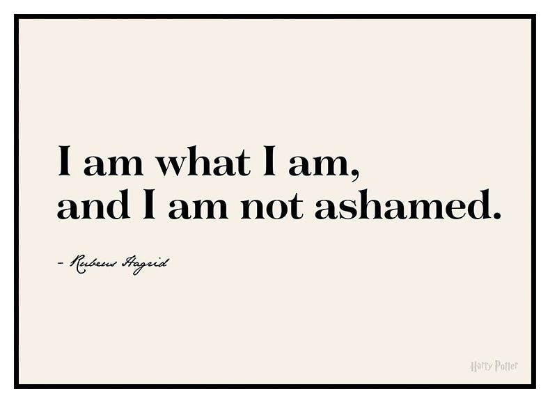 Harry Potter™ - I am What I am Affiche (30x40 cm) - Poster Store