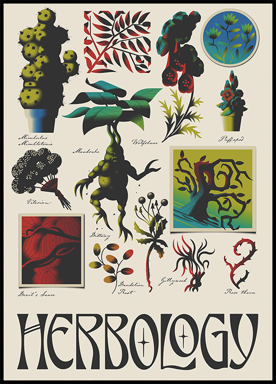 Harry Potter™ Herbology … curated on LTK