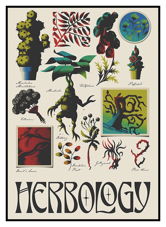 Harry Potter™ - Herbology Poster (30x40 cm) - Poster Store