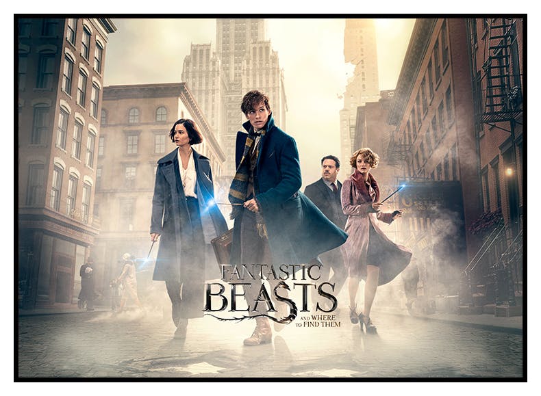 Fantastic Beasts™ - Where to Find Them Landscape Plakat (30x40 cm) - Poster Store